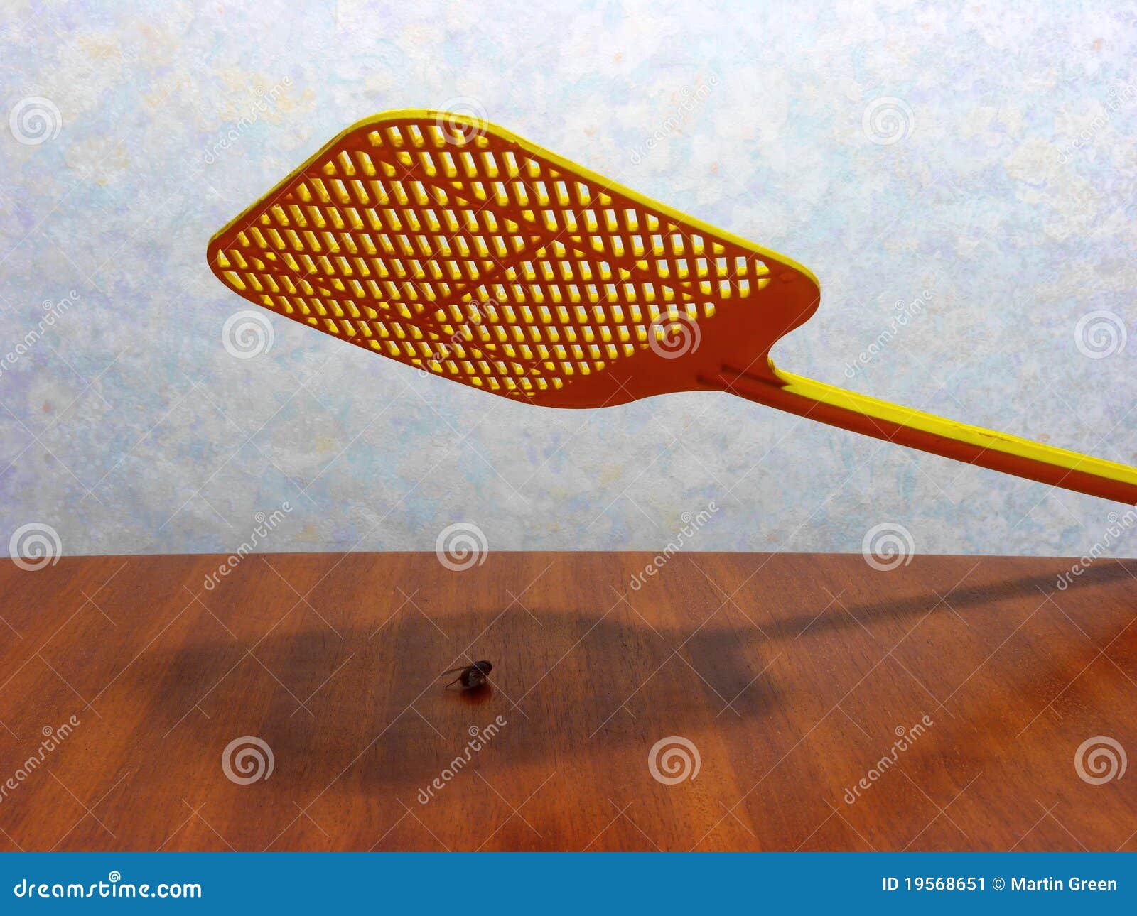 fly swatting