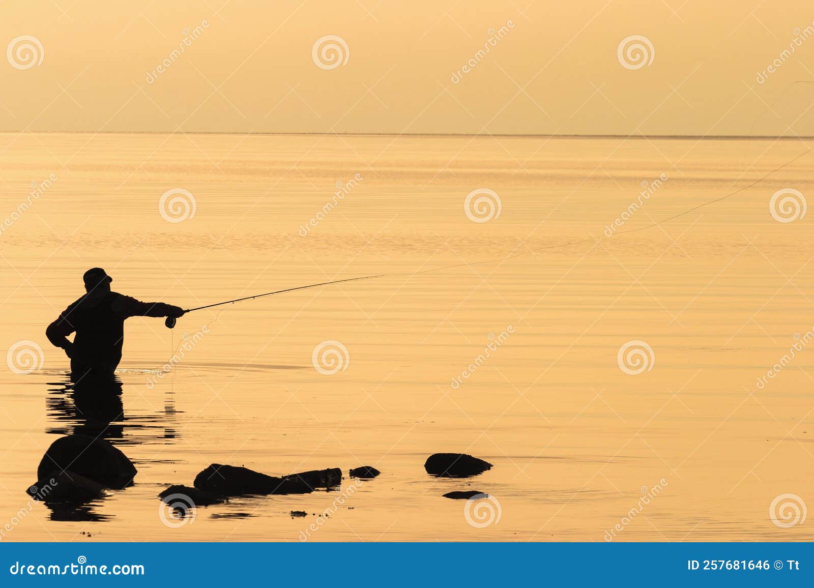 Flyfishing in the sunset stock photo. Image of flyfishing 257681646