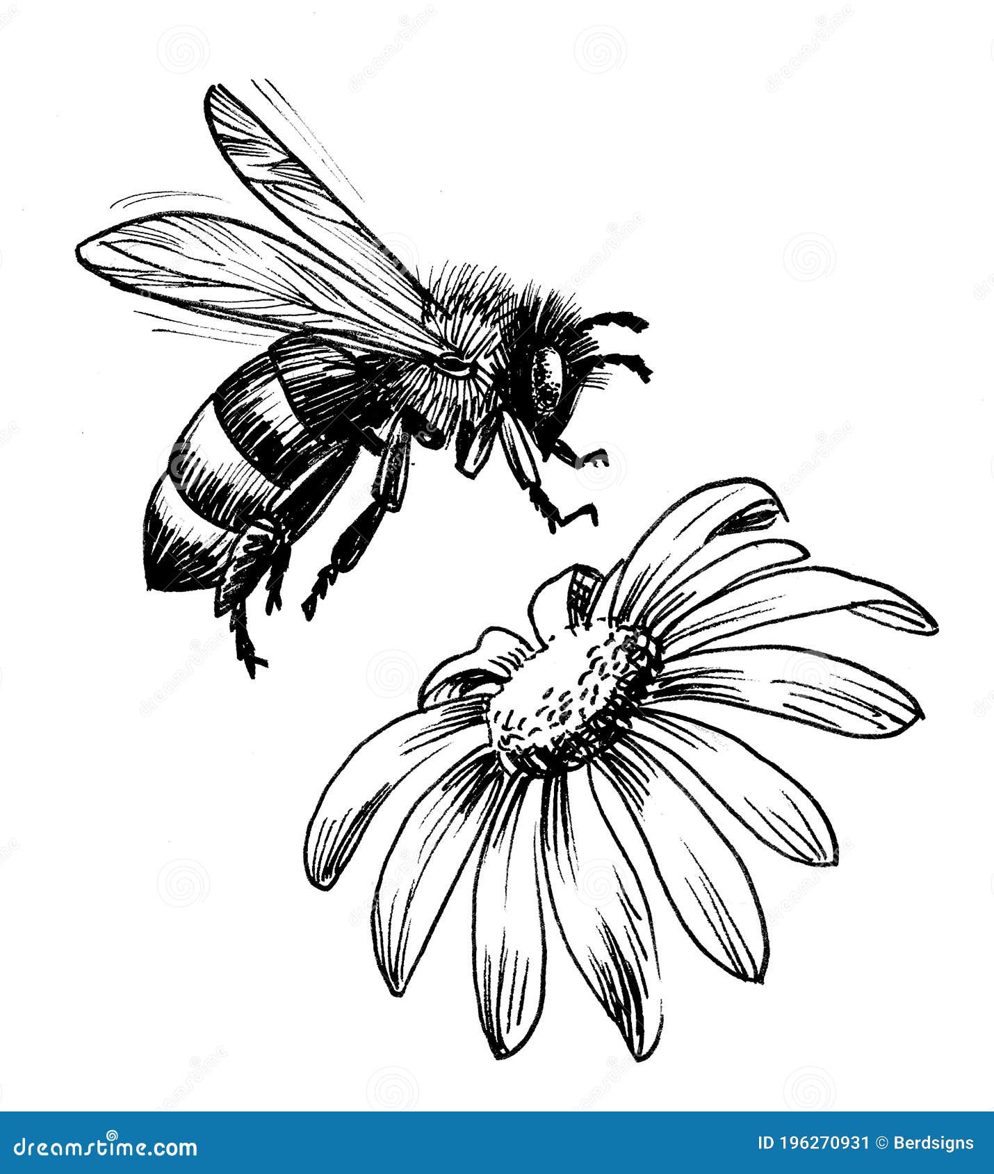 10782 Bee Flower Sketch Images Stock Photos  Vectors  Shutterstock