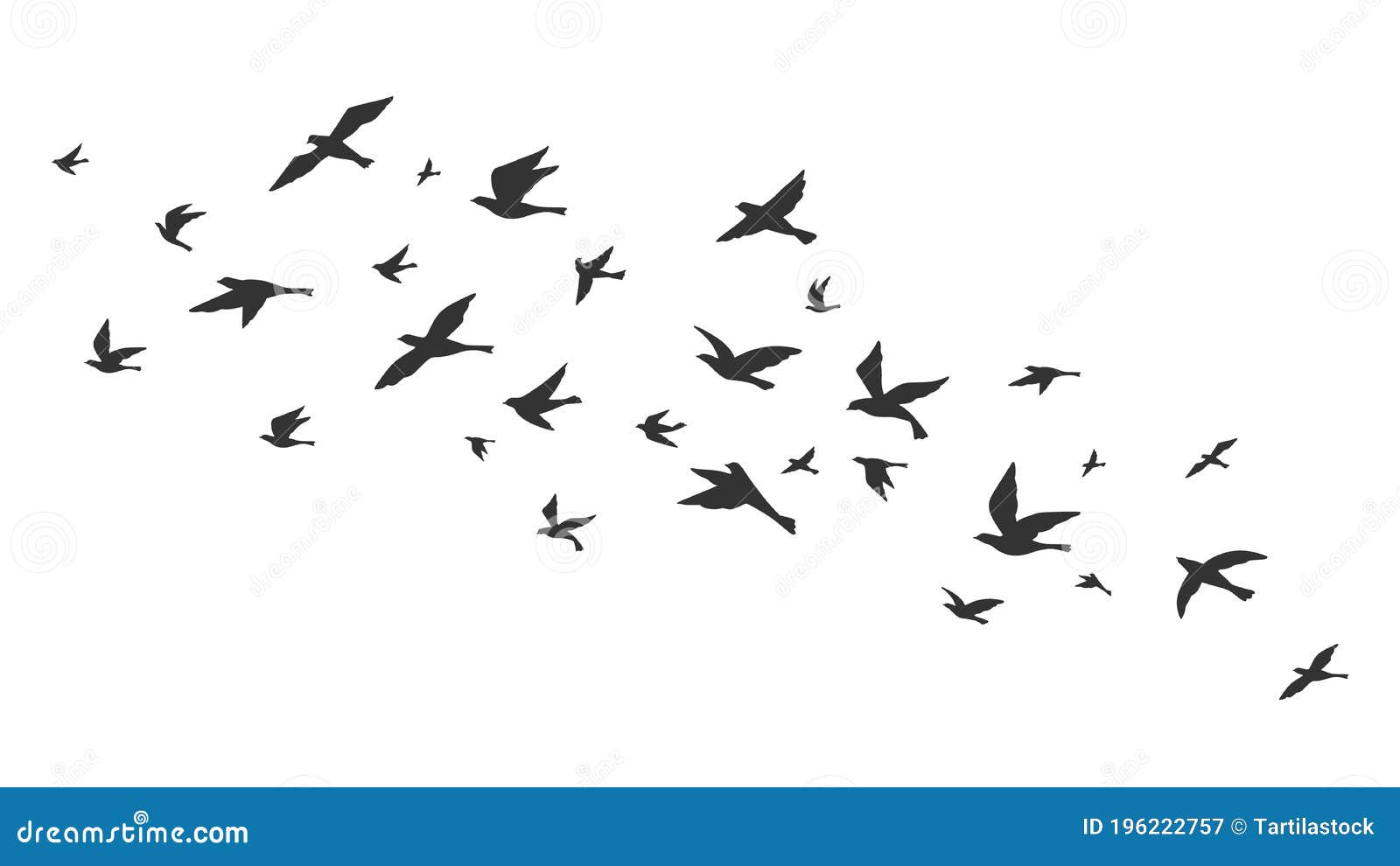Bird Flock Stock Illustrations – 15,779 Bird Flock Stock Illustrations, Vectors & Clipart - Dreamstime