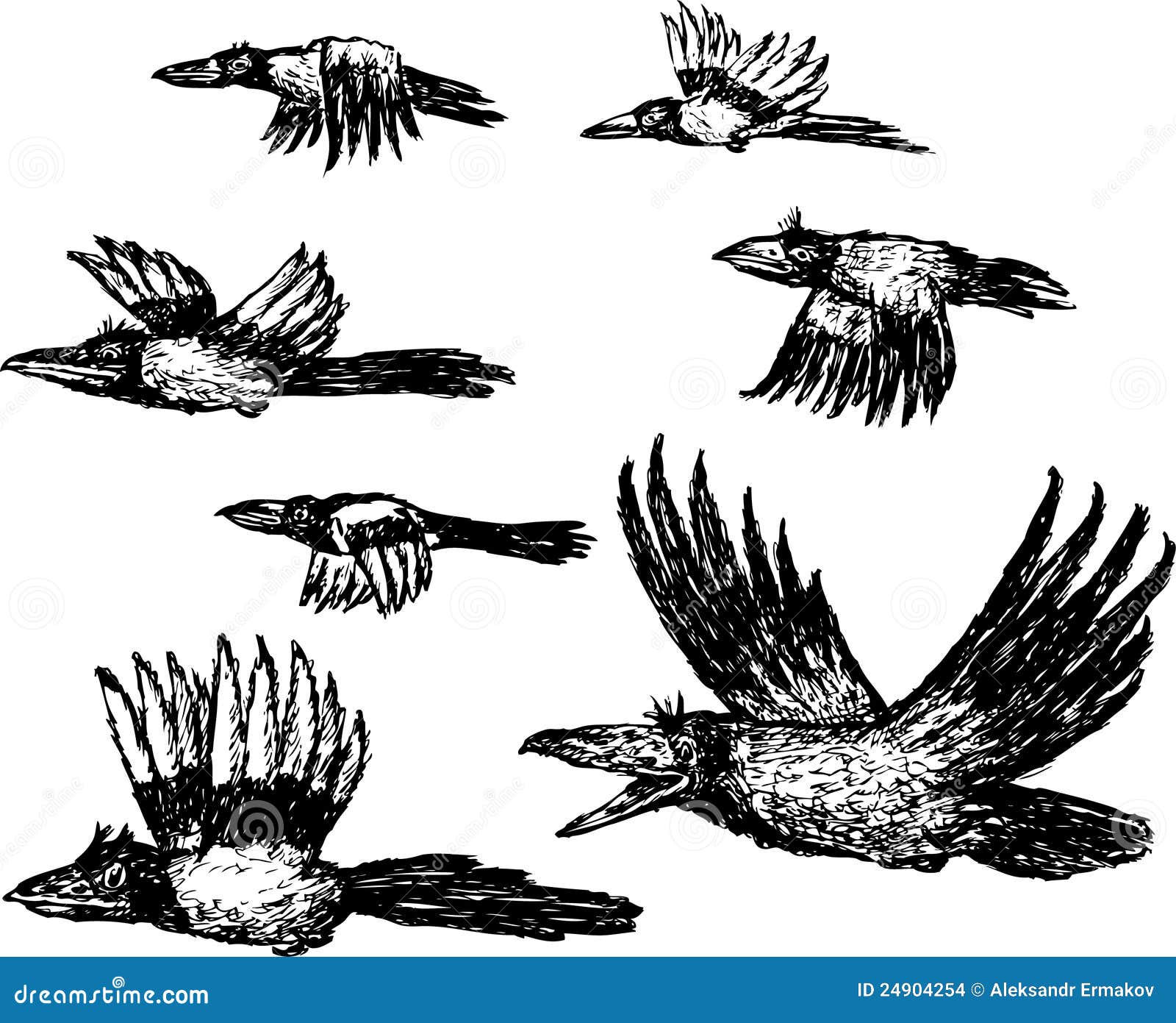 Flying birds stock vector. Illustration of flying, school - 24904254
