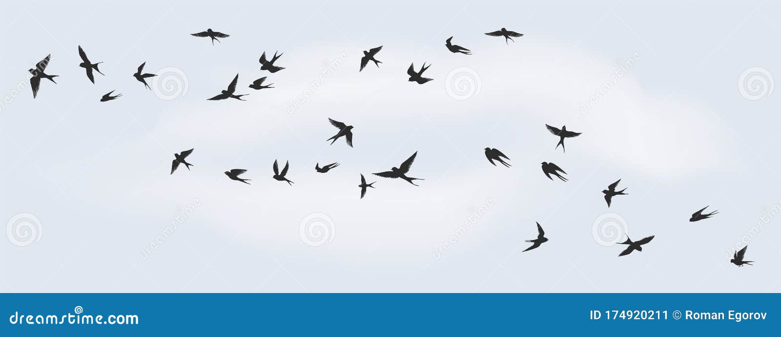 flying birds silhouette. flock of black marine birds, doves, seagulls or swallows  on white background. 