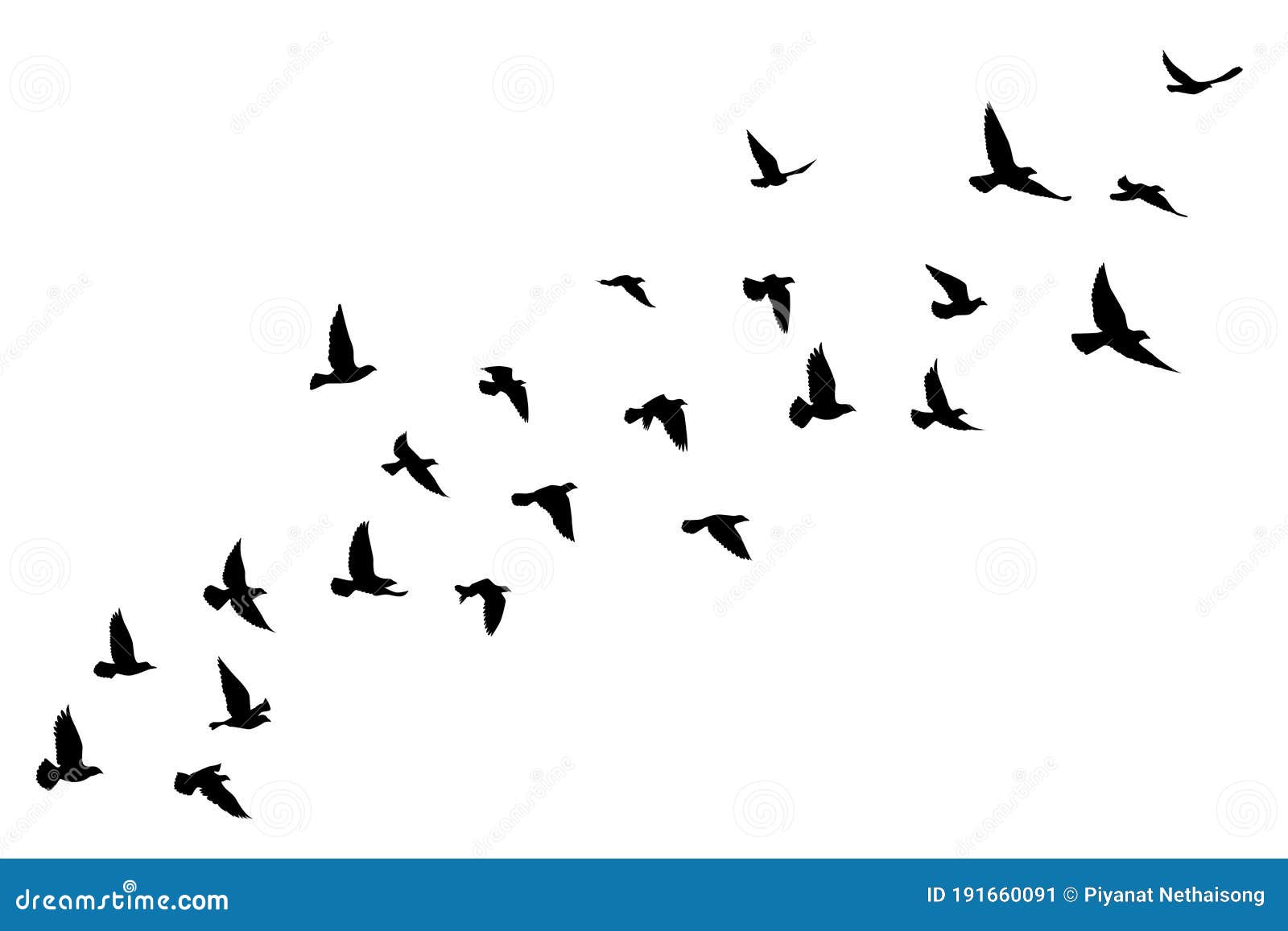 flying birds silhouettes on white background.  .  bird flying. tattoo 