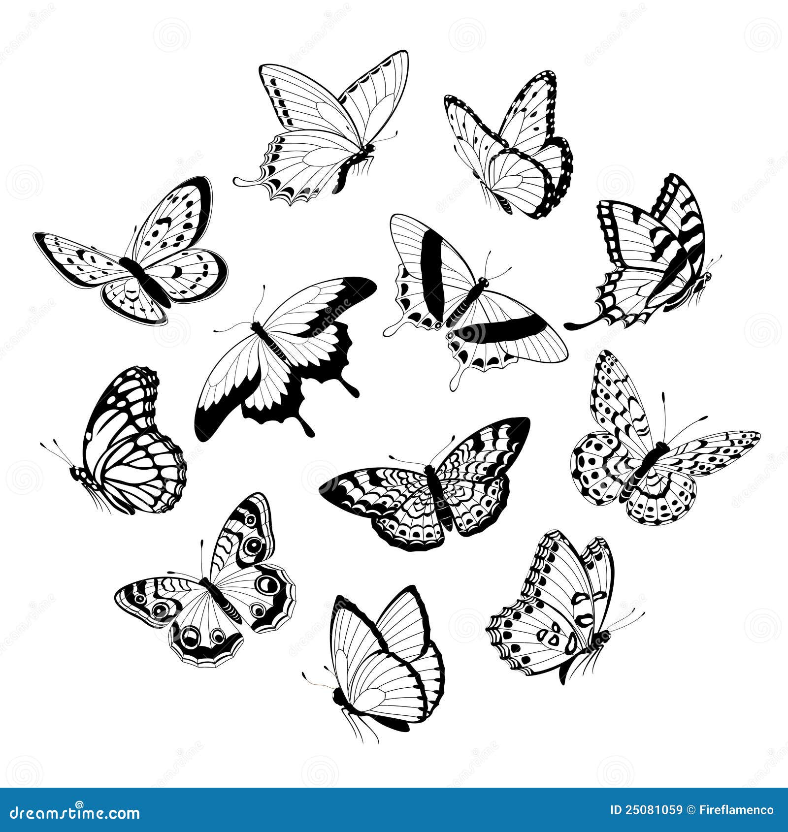 Flying Black & White Butterflies Stock Vector - Illustration of vector,  isolated: 25081059