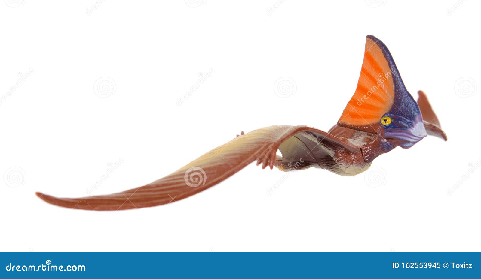 Pteranodon Pterodactyl Dinosaur on White Background Stock Photo - Image of  background, gigantic: 139129966