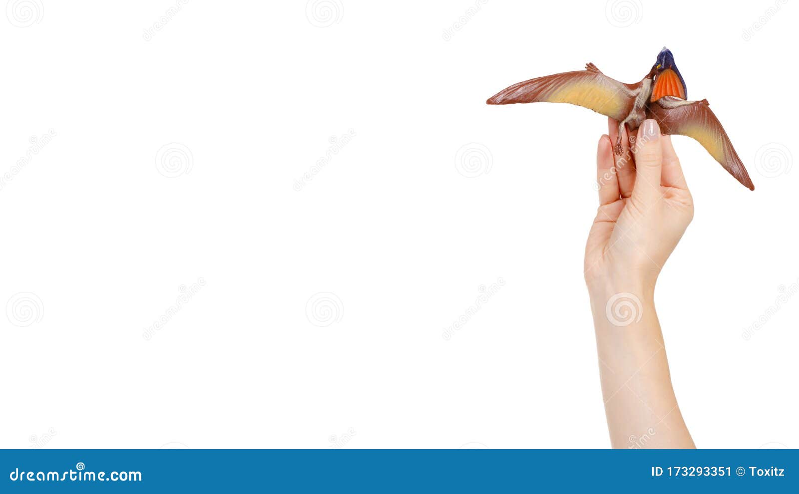 Pteranodon Pterodactyl Dinosaur on white background 8844315 PNG