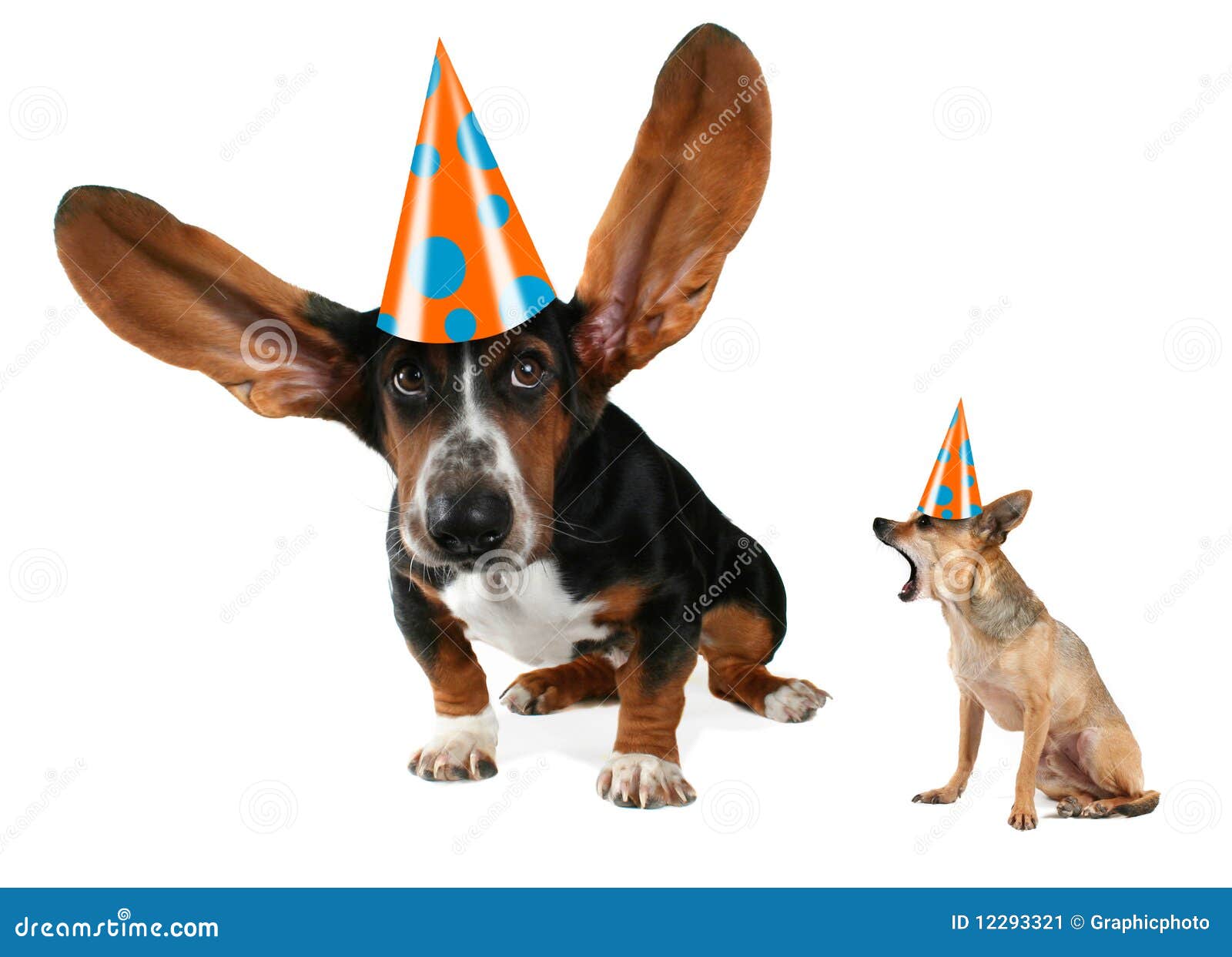 Dog With Flying Ears Stock Image 18457033