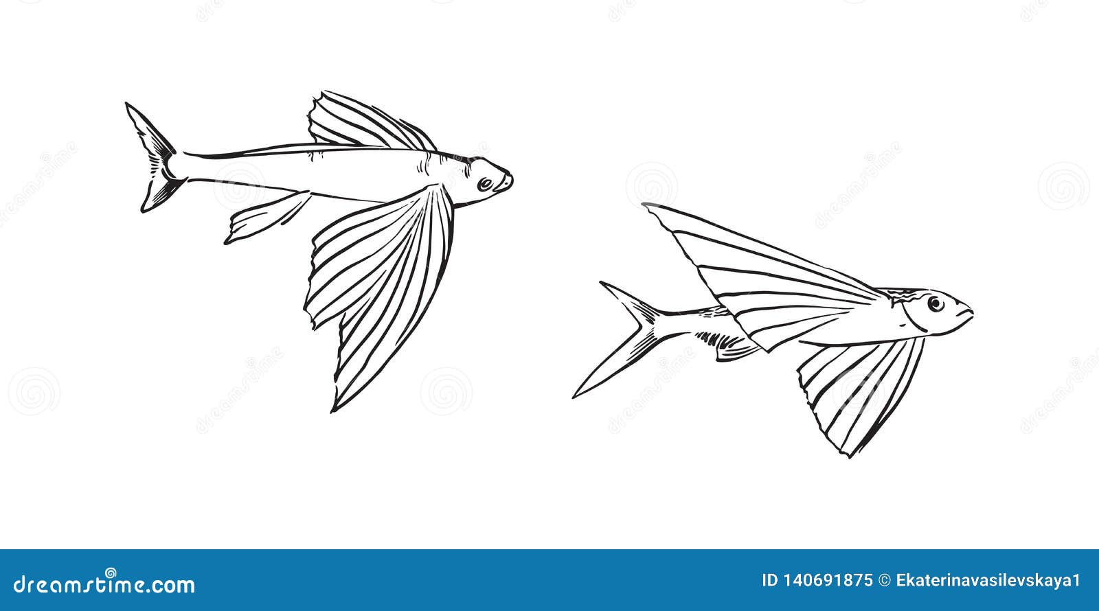 Flying Fish Black Stock Illustrations – 2,133 Flying Fish Black