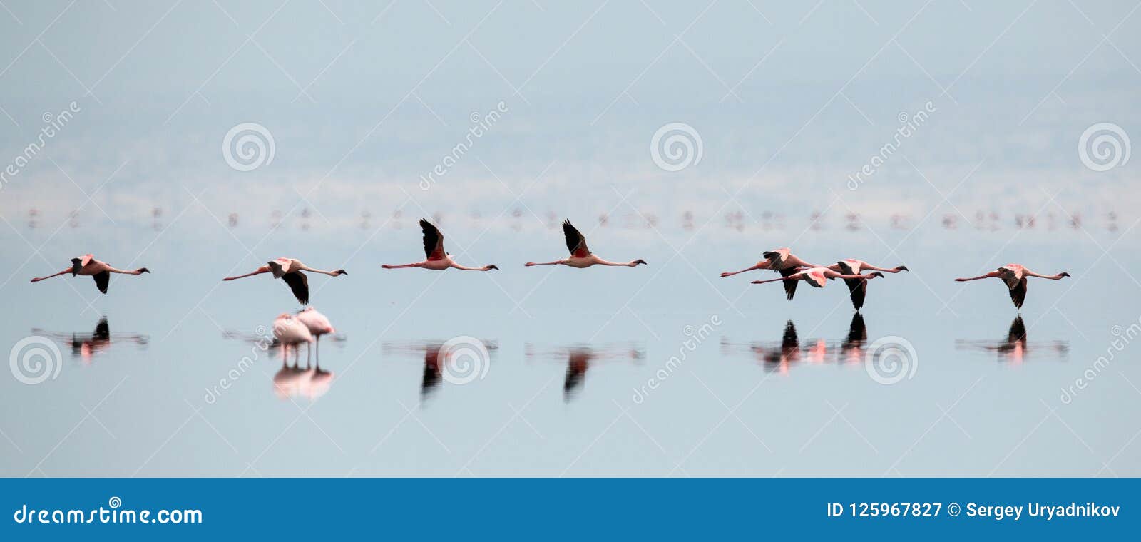 tanzania lake natron plane tanzania lake natron plane