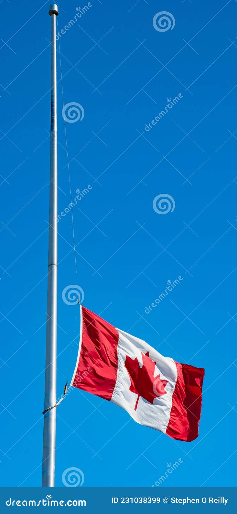 Flying at Half mast stock image. Image of canadian, flag 231038399