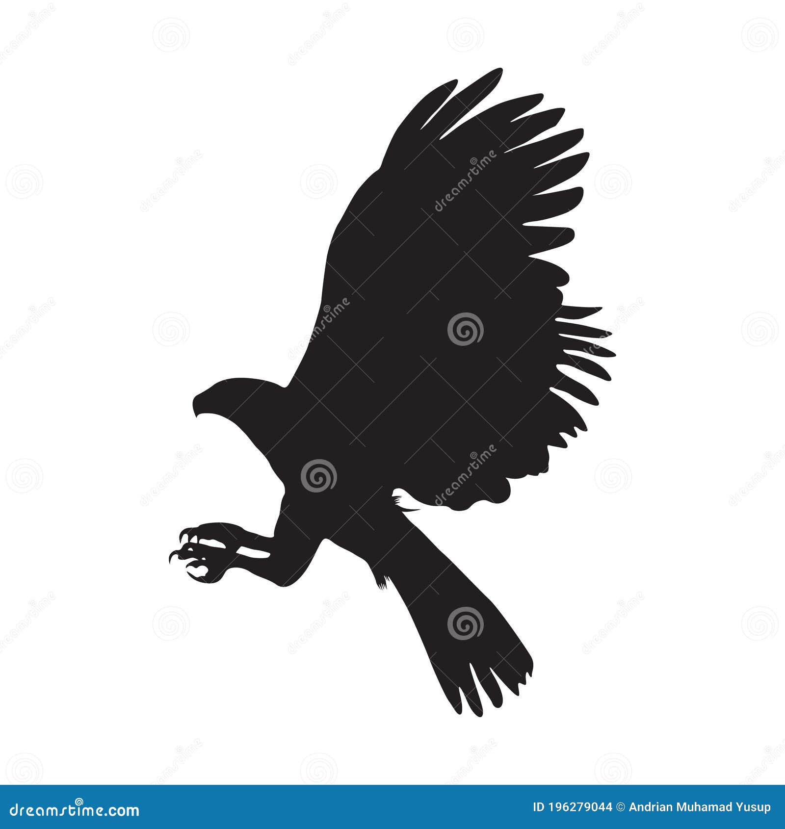 Flying Harpy Eagle Harpia Harpyja, on a Side View, Silhouette, Found in Map  of Western Hemisphere Stock Vector - Illustration of forest, isolated:  196279044