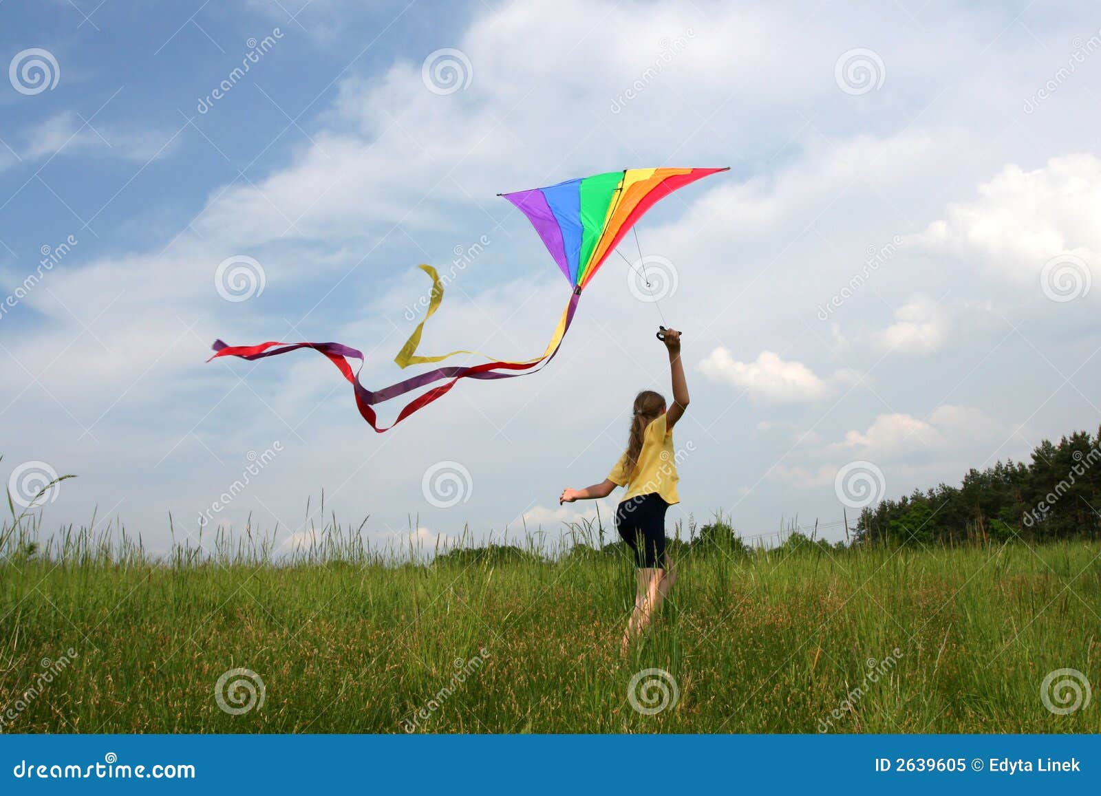 Flying kite stock image. Image of bounce, girl, holiday 2639605