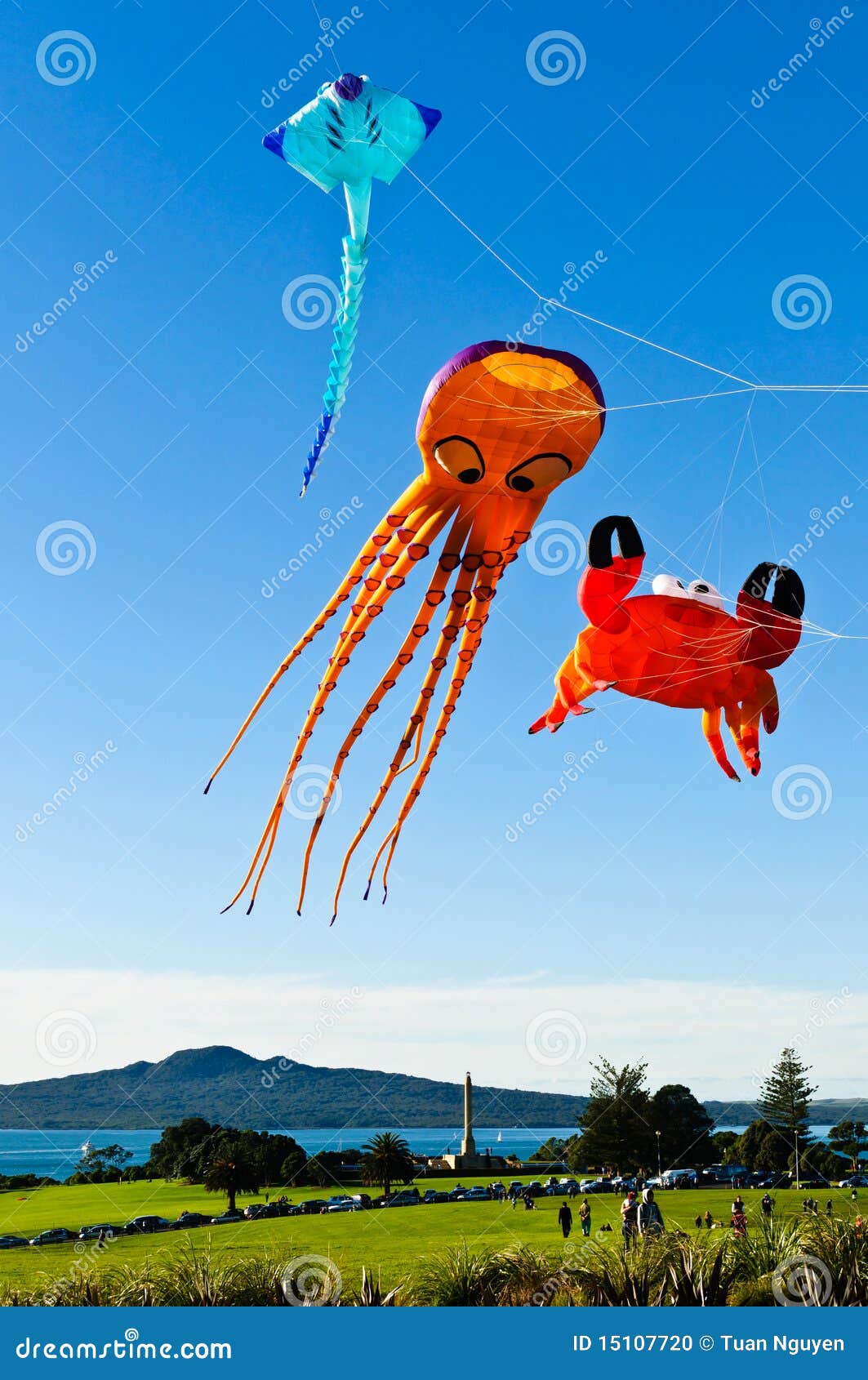 Flying kites stock photo. Image of entertainment, zealand 15107720