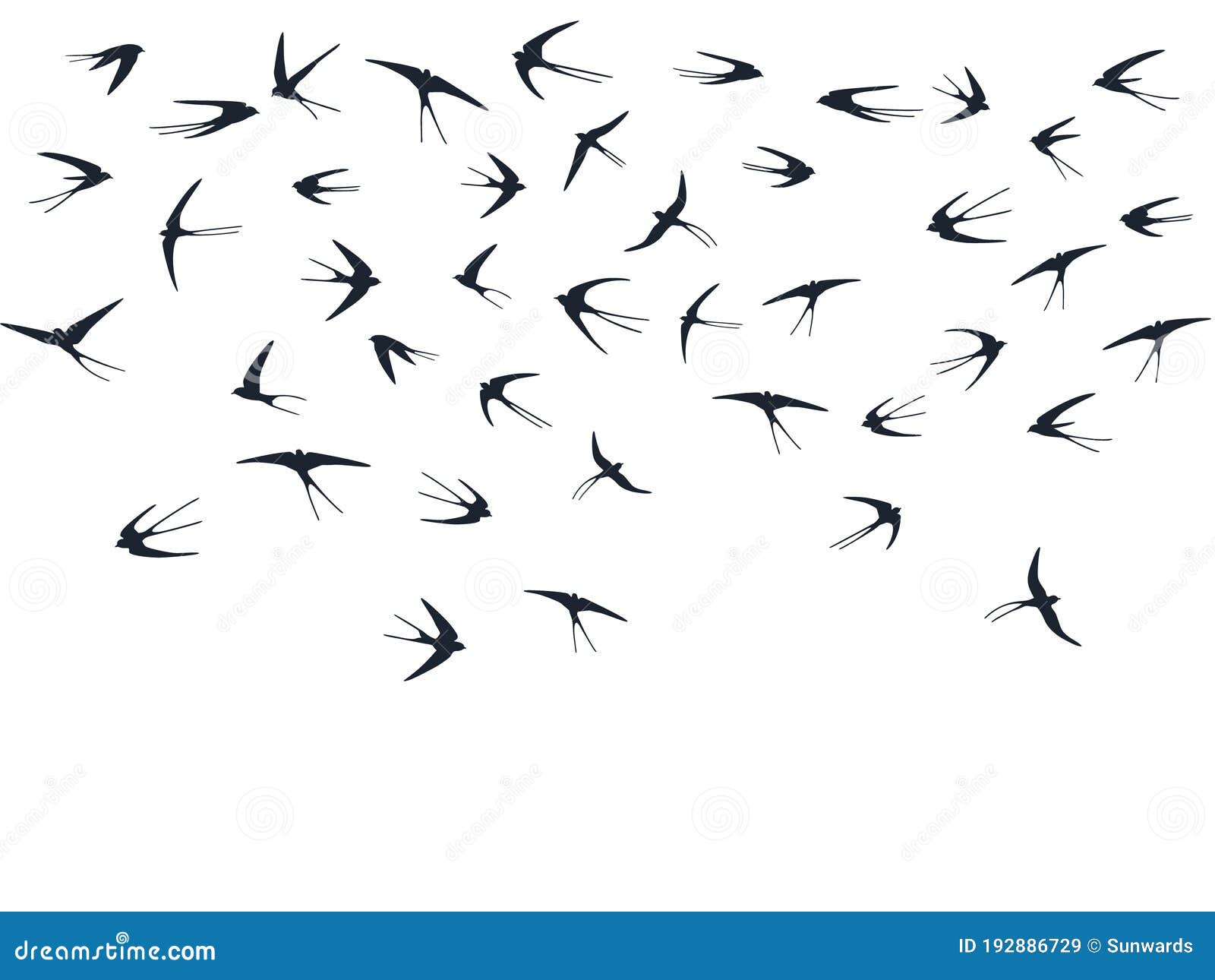 flying martlet birds silhouettes  . nomadic martlets swarm  on white.