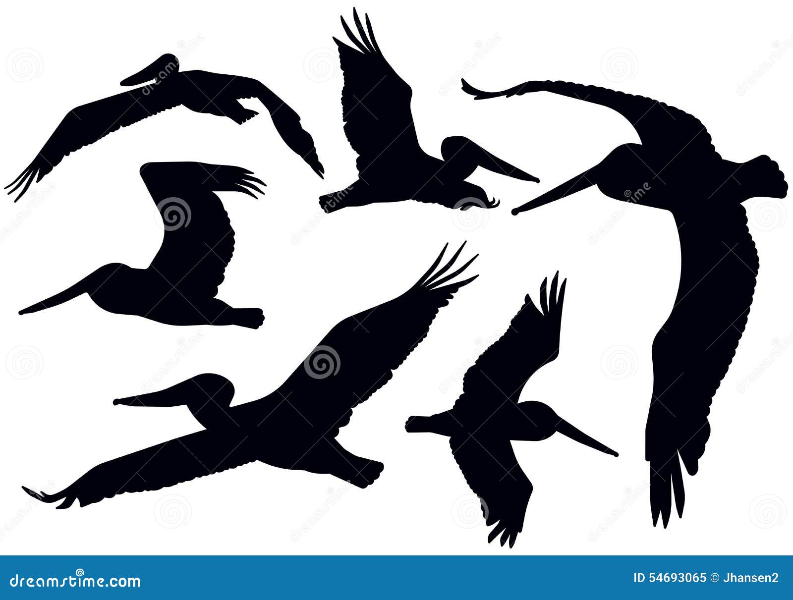 Flying Pelican Silhouettes stock vector. Illustration of pelecanus ...