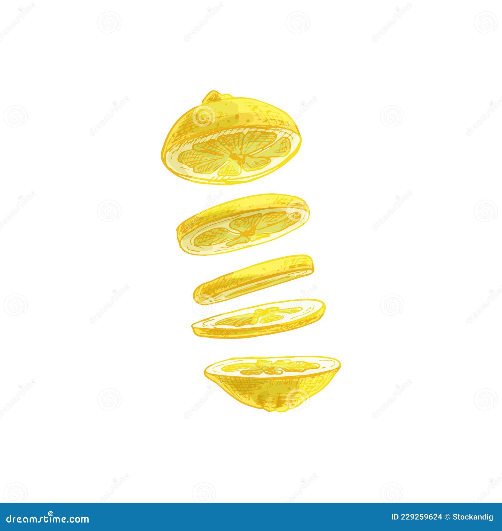 Flying Pieces of Fresh Lemon. Vector Vintage Hatching Color ...