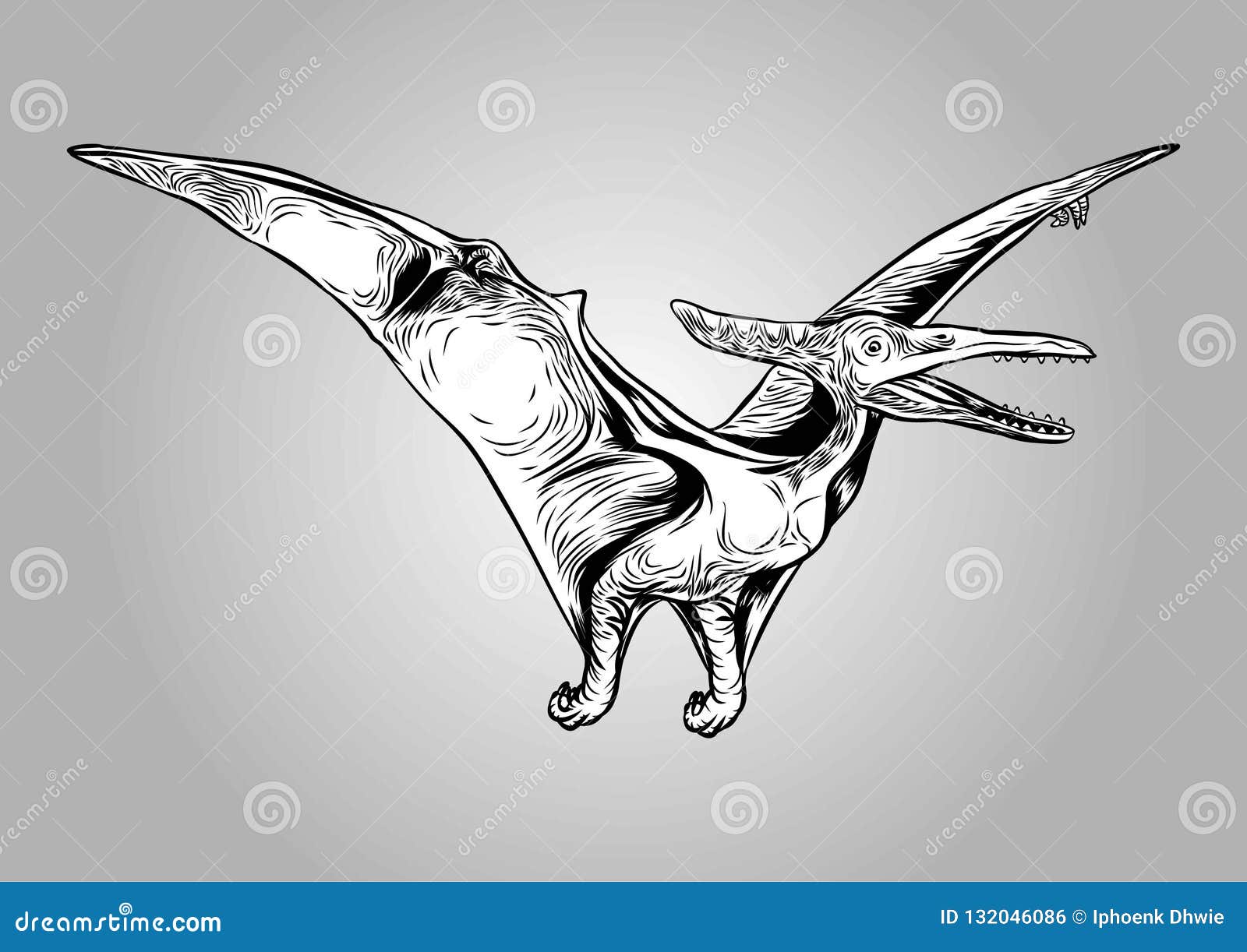 Pterodactyl Stock Illustrations – 5,741 Pterodactyl Stock Illustrations,  Vectors & Clipart - Dreamstime