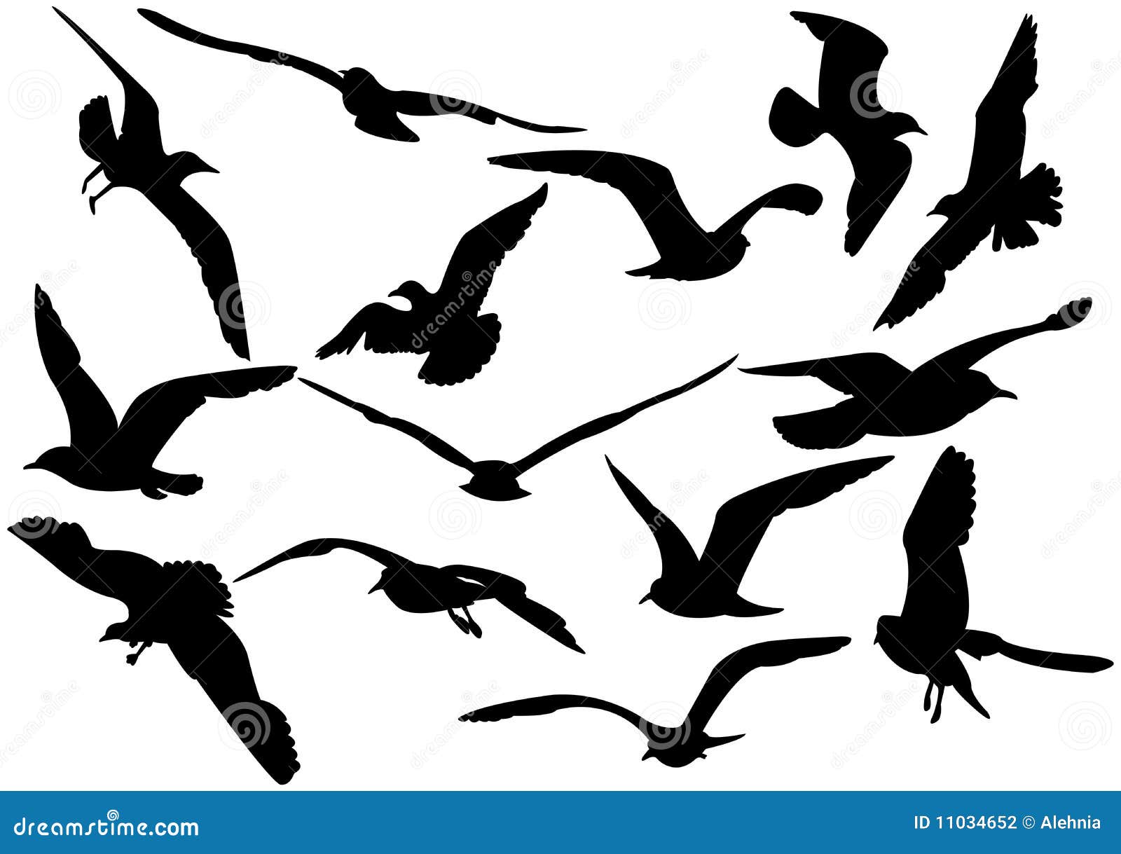 flying sea-gulls 