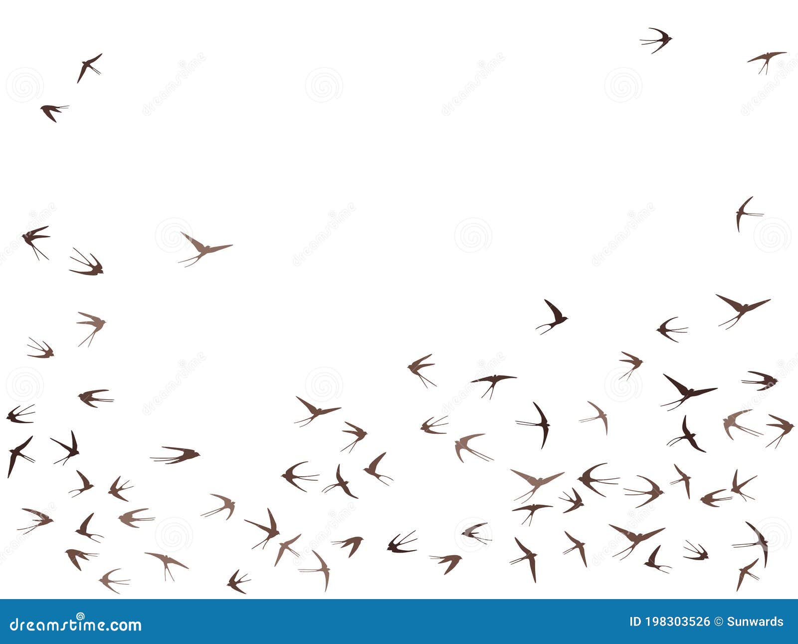 flying swallow birds silhouettes  . nomadic martlets swarm  on white.