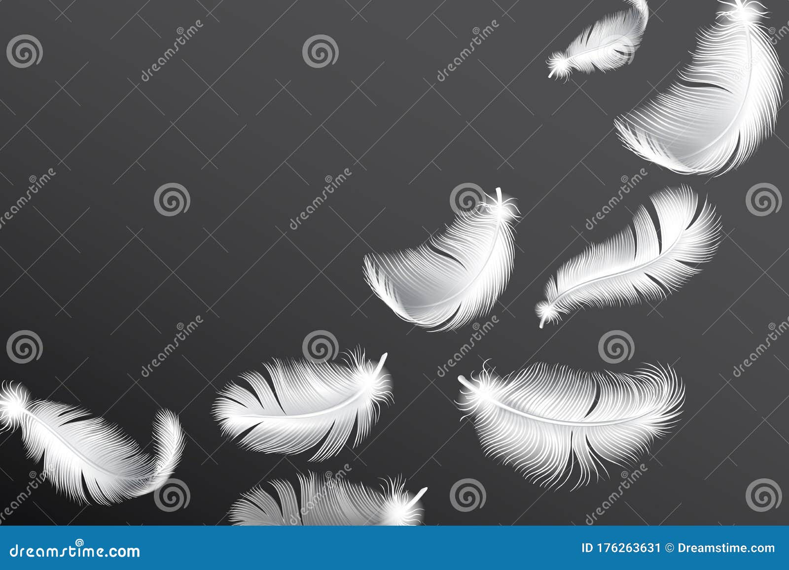 Download Flying White Feathers. Falling Realistic Bird Or Angel ...