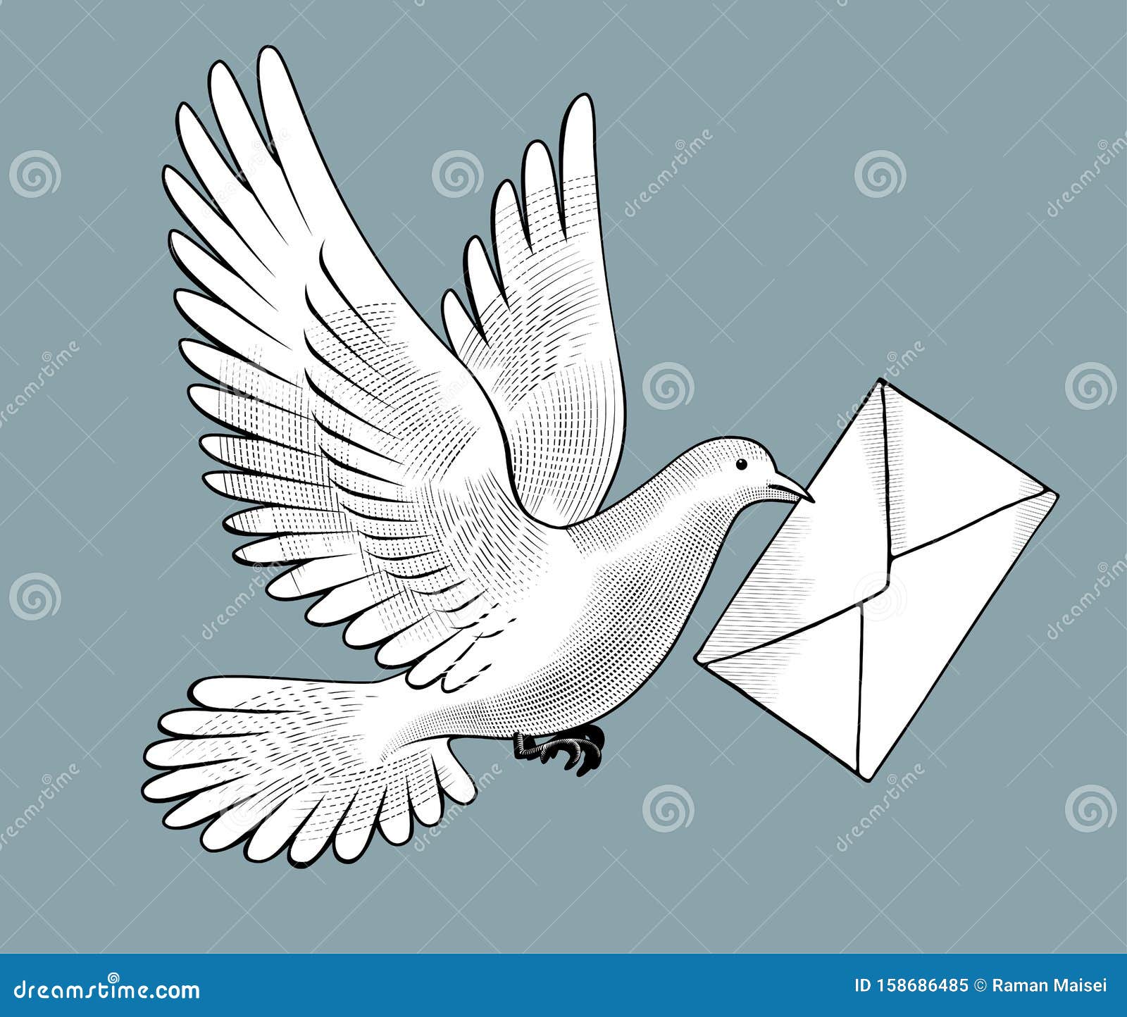 Flying White Post Pigeon with a Letter Stock Vector Illustration of