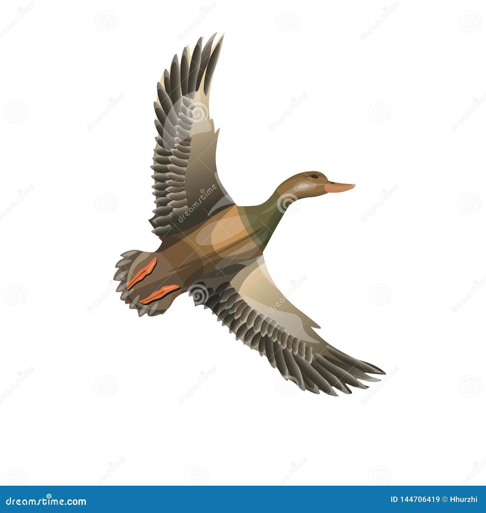 Minimalist Duck in Flight Mobile Wallpaper - High Quality 8k Illustration  Stock Illustration - Illustration of background, symbolizing: 284760639