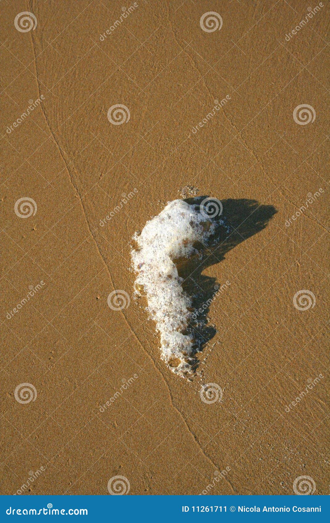 foam on beach of punta penna, vasto, italy