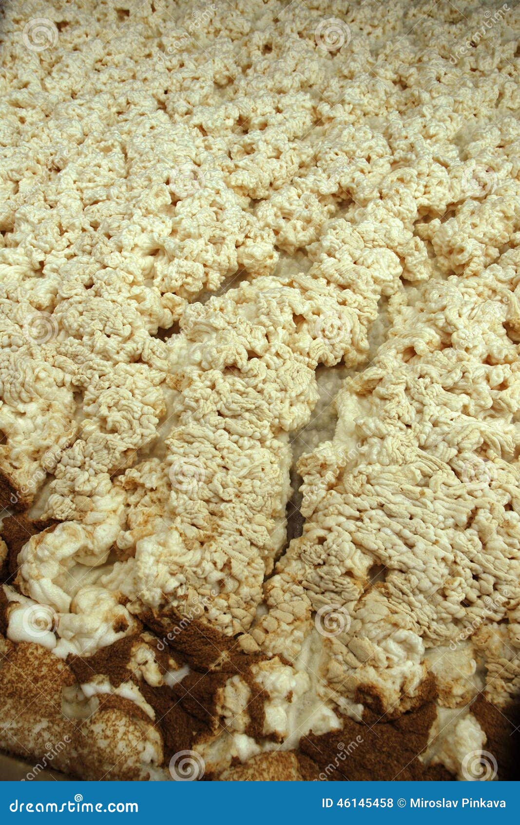 The Foam during Beer Fermentation Stock Photo Image of detail