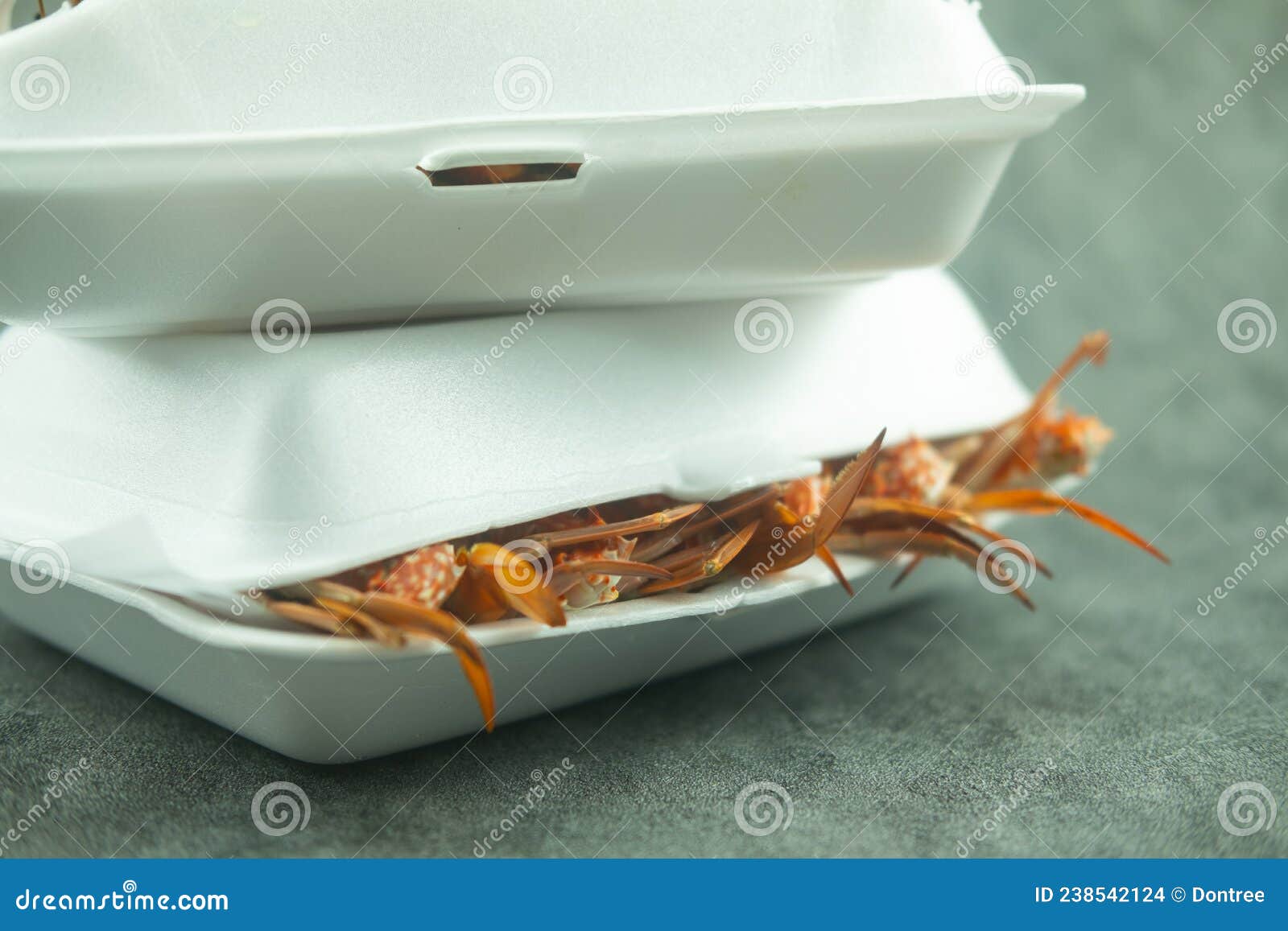 A Foam Box with Seafood Inside Stock Photo Image of meat, ingredient