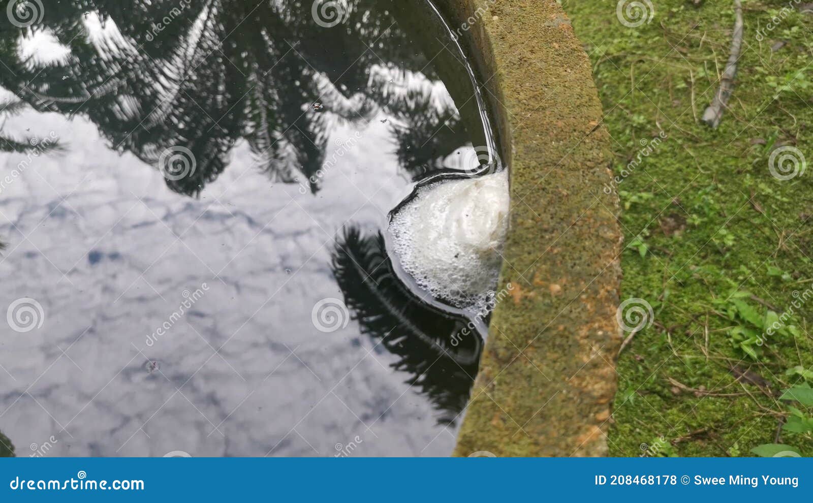 Foam Nest of Frog`s Egg Floating on the Surface Water. Stock Footage