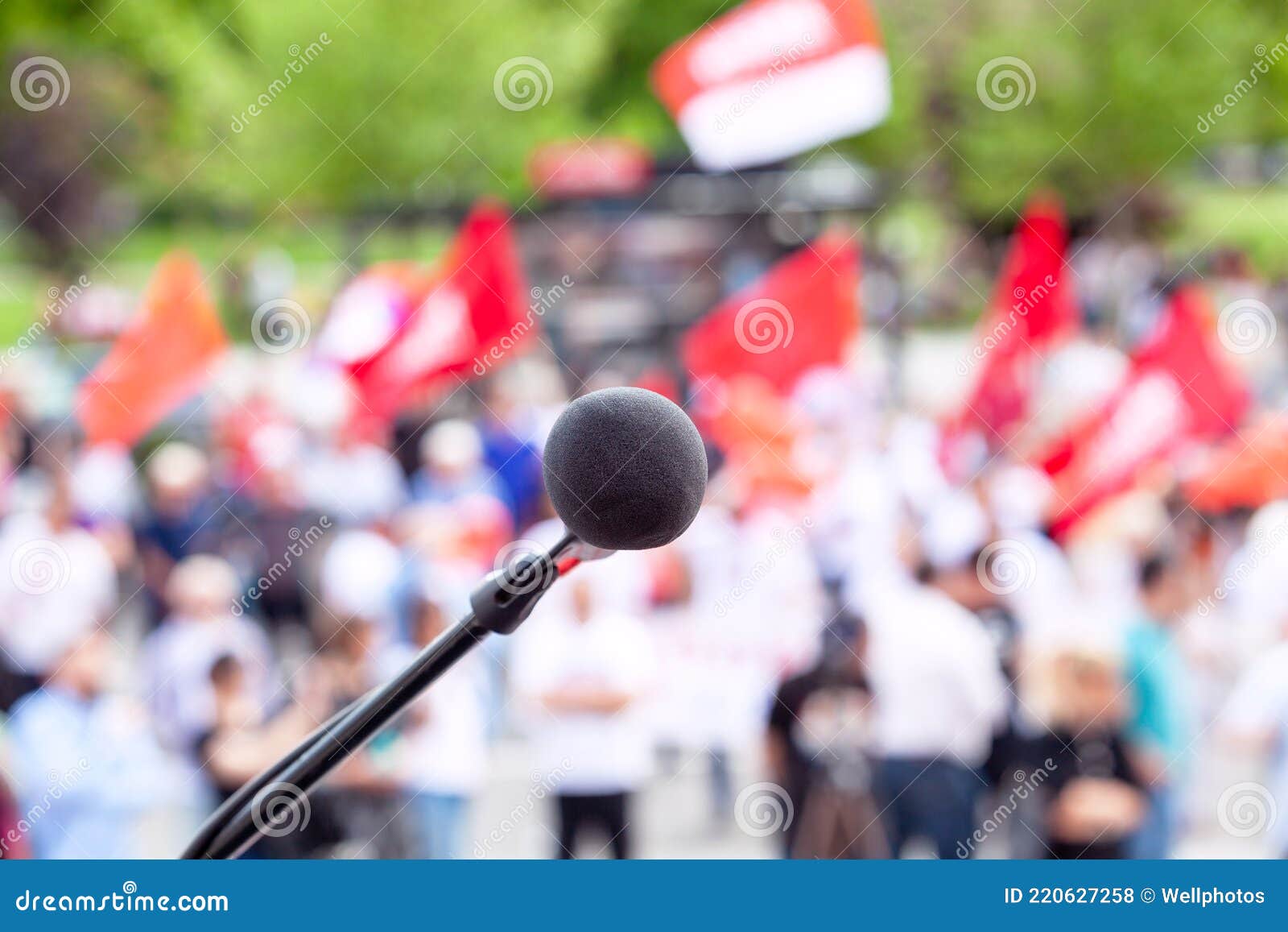 Political Protest or Public Demonstration, Focus on Microphone, Blurred  Crowd of People Holding Flags in the Background Stock Photo - Image of  unrecognizable, civil: 220627258