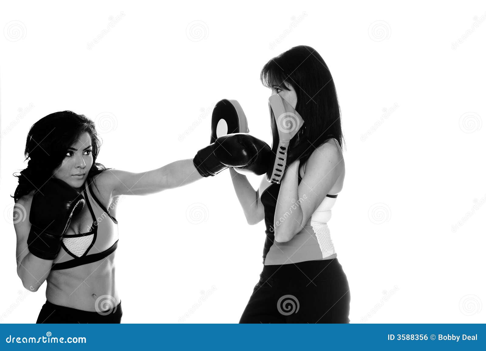 Focus Mitt Training stock photo. Image of fitness, right 3588356