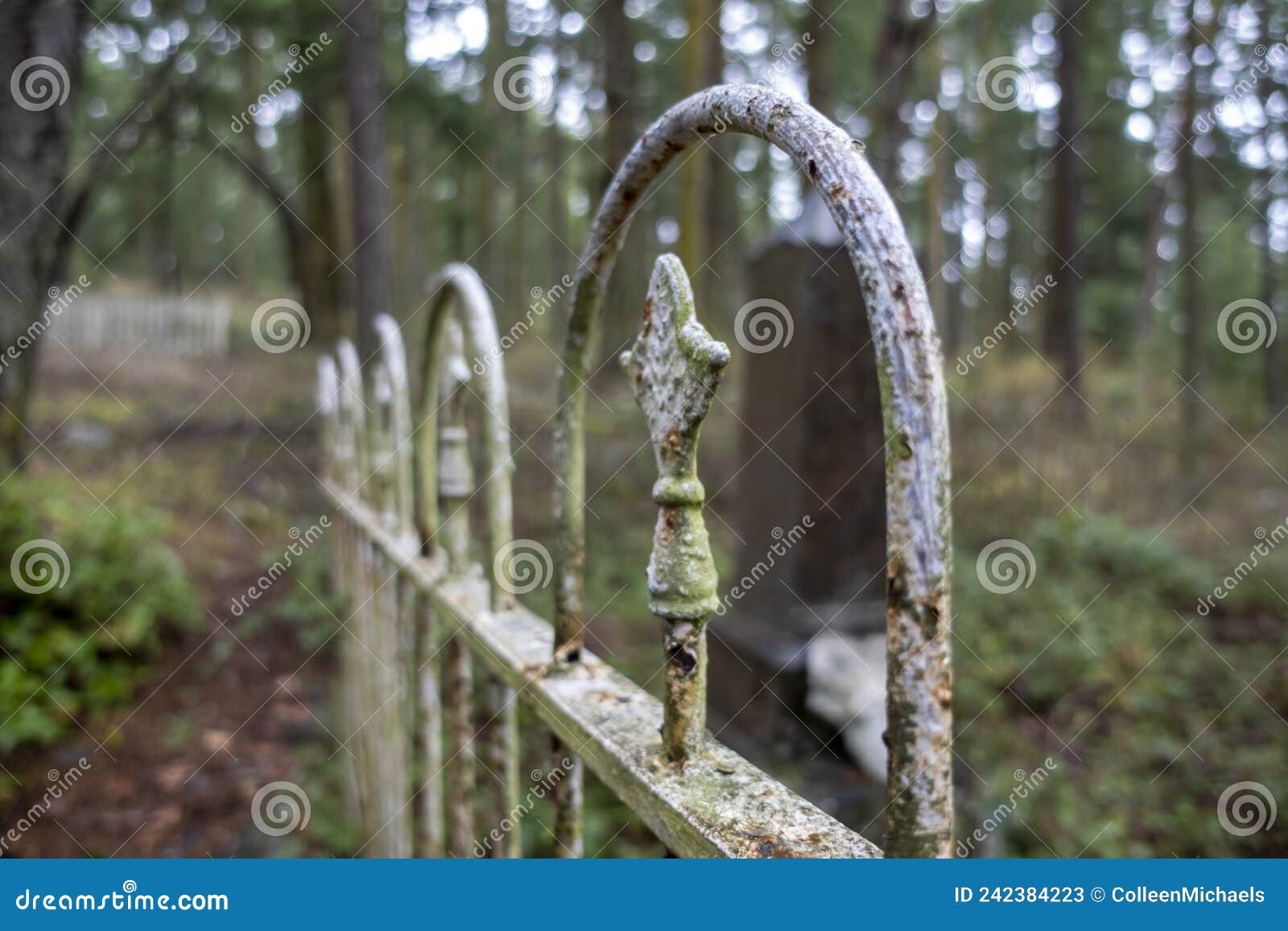 Selective Focus on a Rusted, Wrought Iron Fence in a Large, Forested