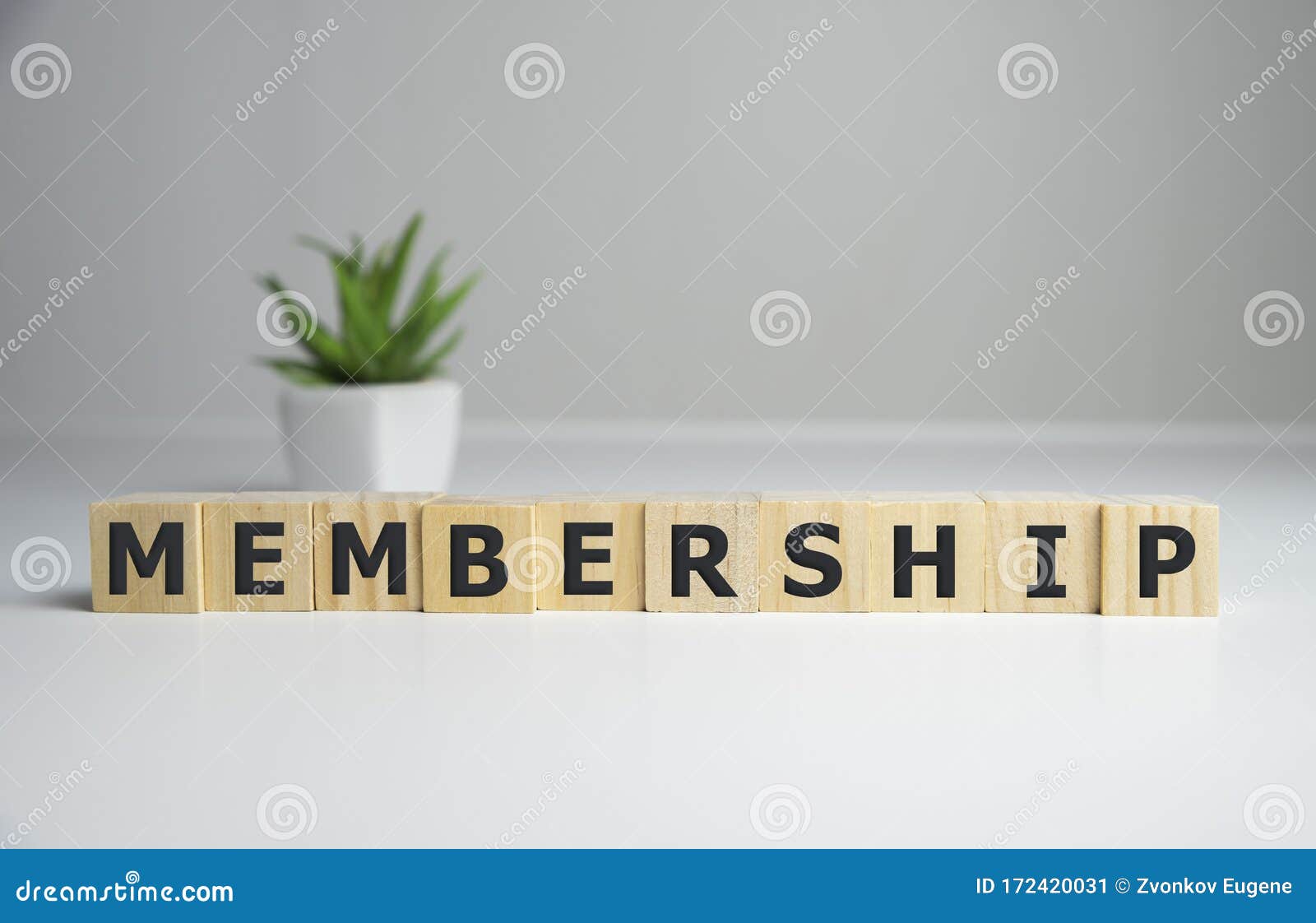 focus on wooden blocks with letters making membership text. concept image