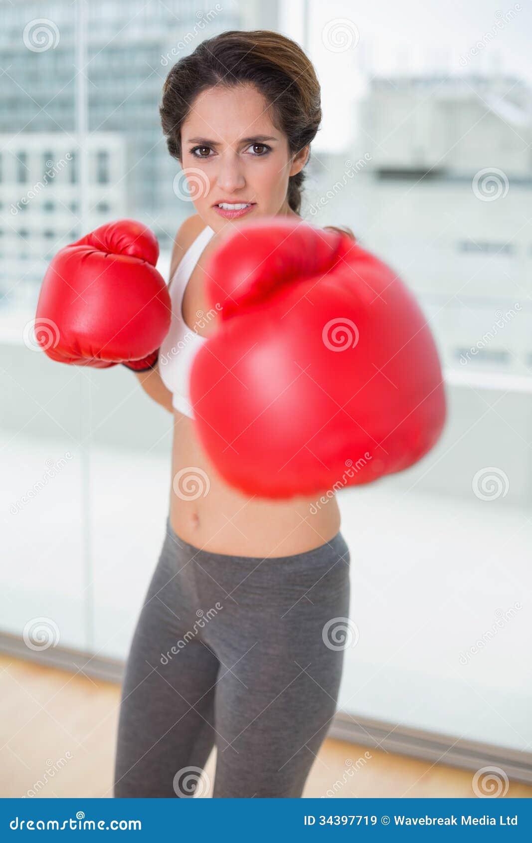 Focused Boxing and Looking at Camera Stock Image Image of