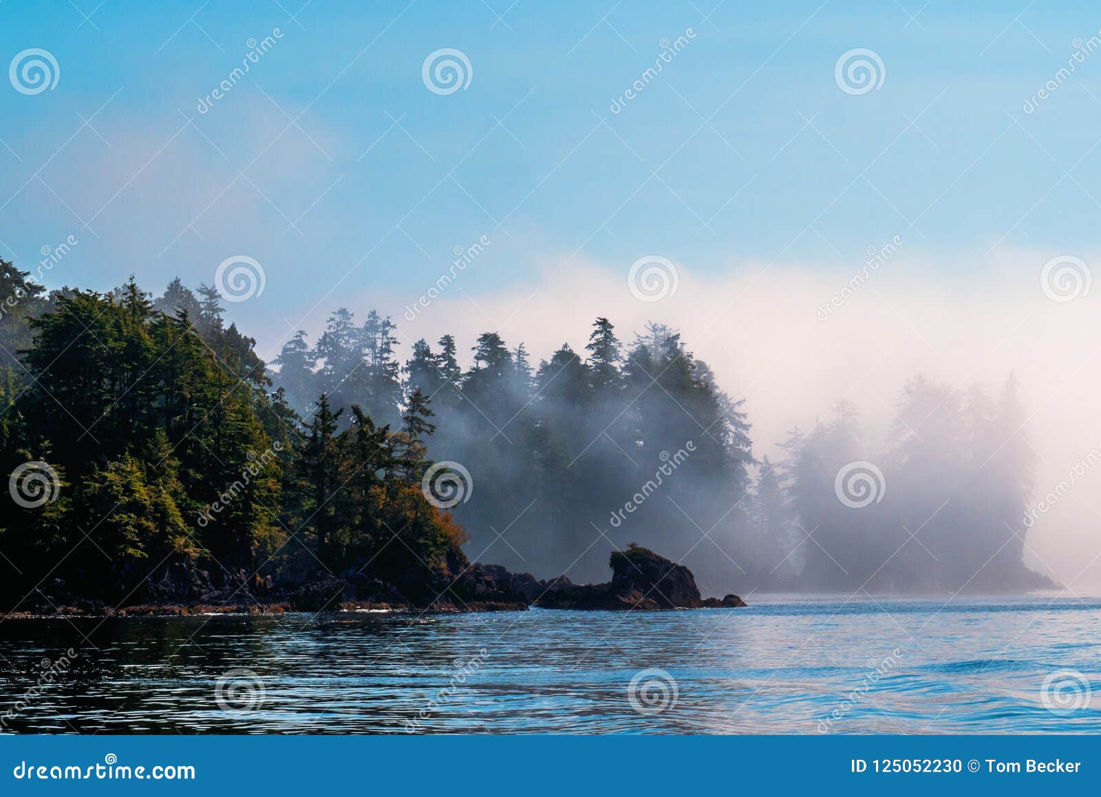 fog bank shrouds island on bc pacific coast