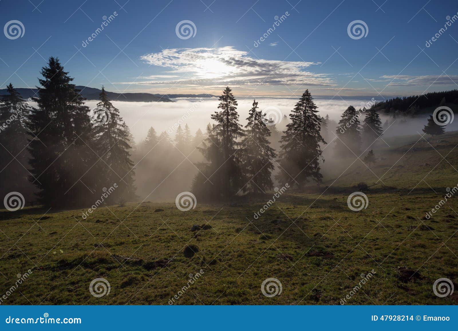 fog in black forest valley, southwest germany