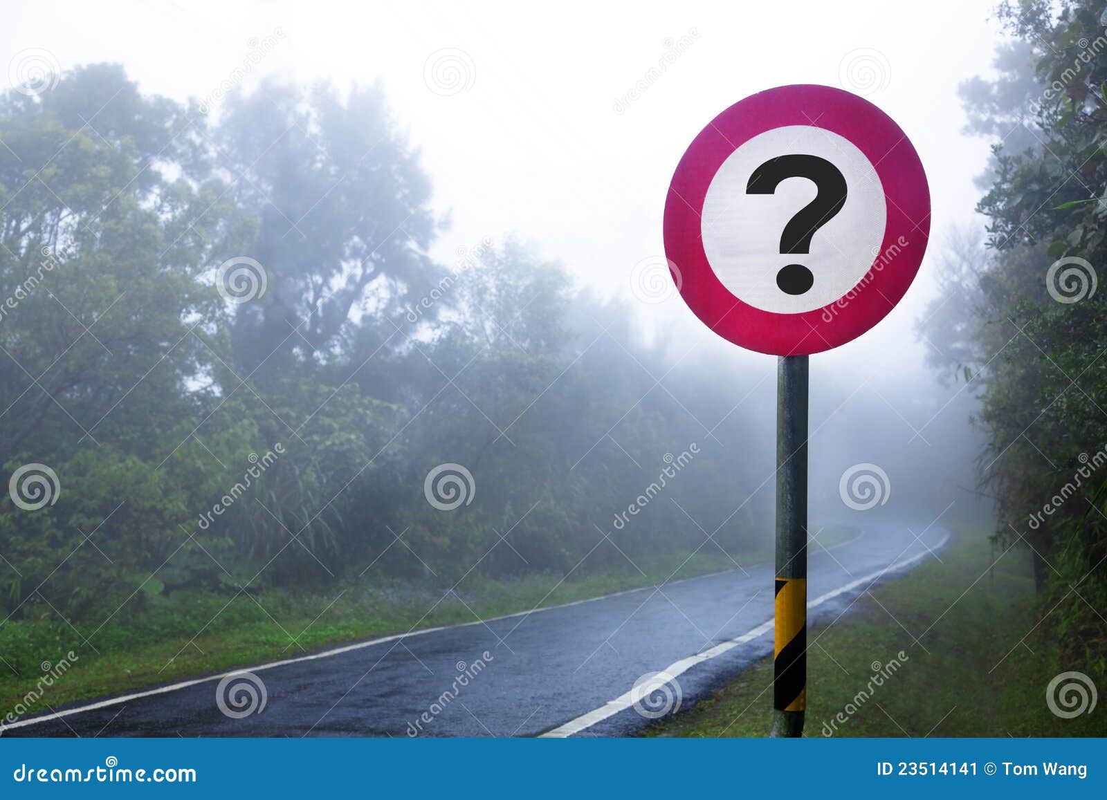 Fog Forest and Question Sign Stock Image Image of foggy, spring 23514141