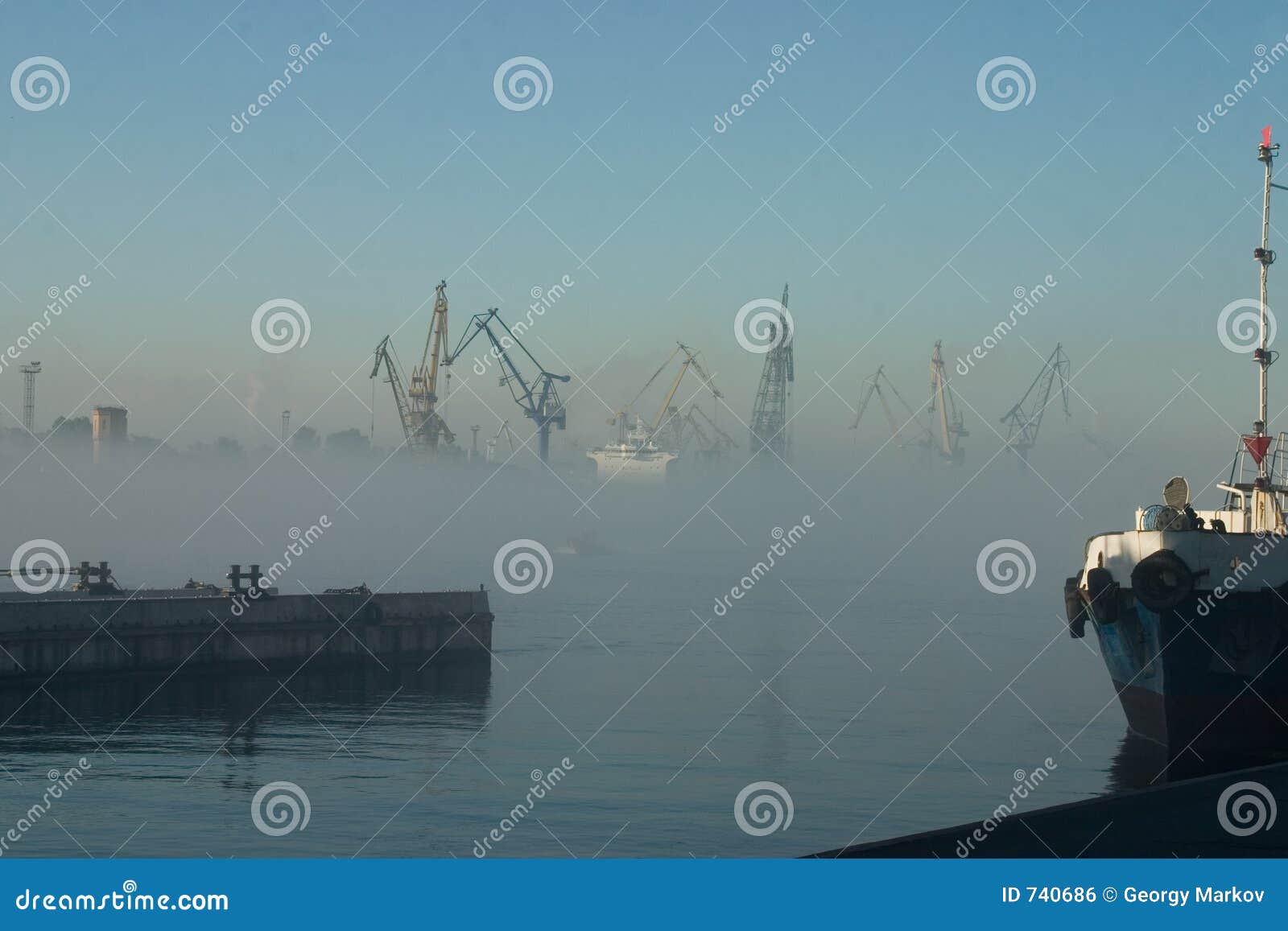 fog over harbor