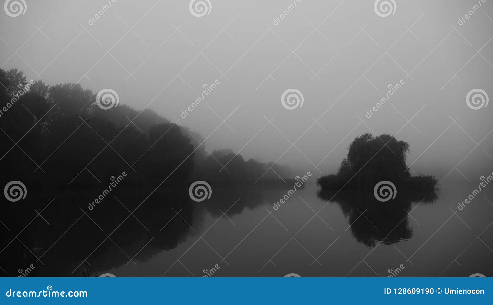 fog over the `morocco` pond in katowice. poland.