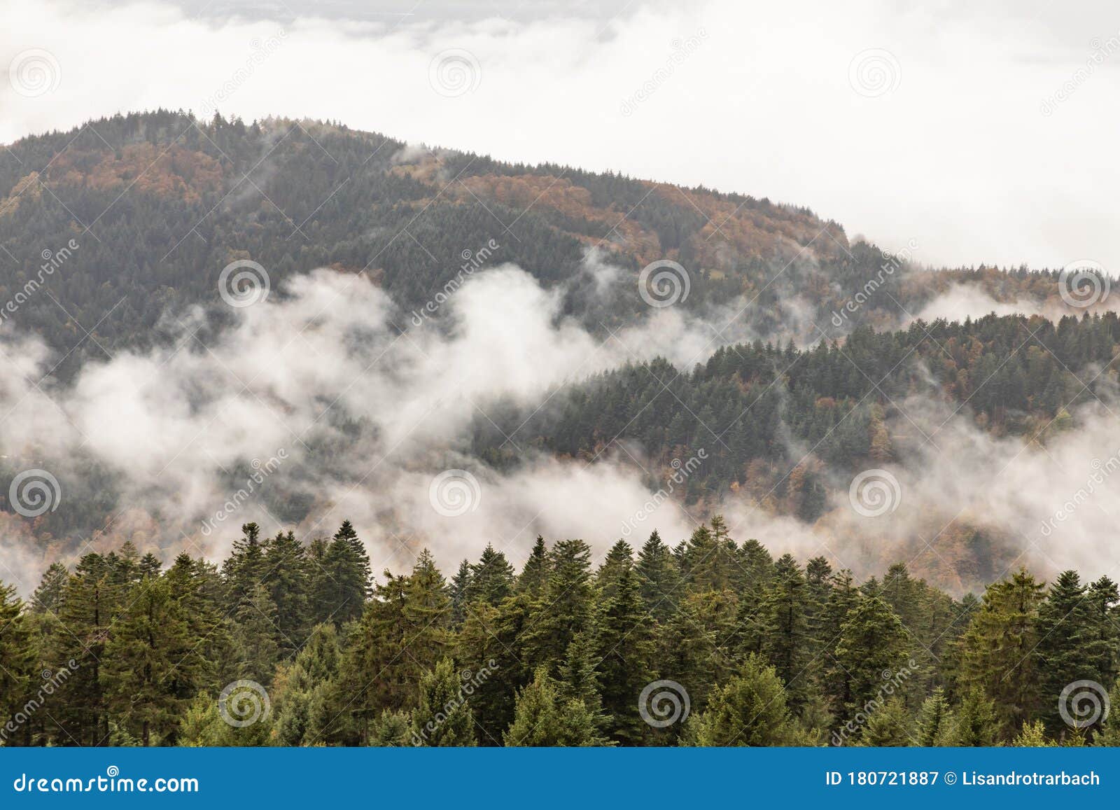 black forest trekking