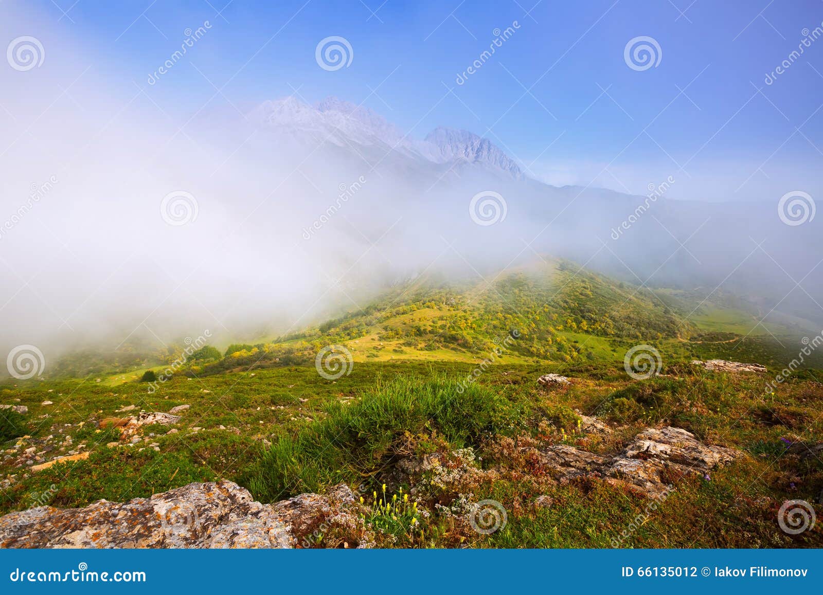 fog over mountains in summer