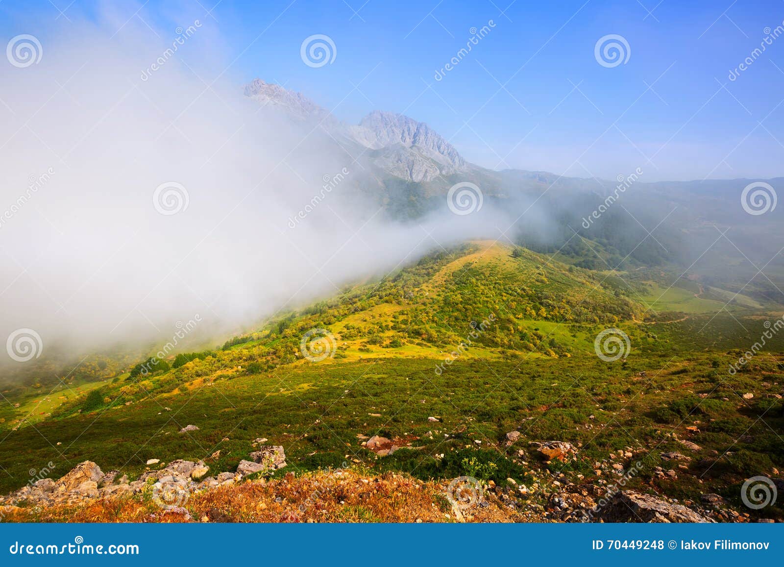 fog over mountains in summer