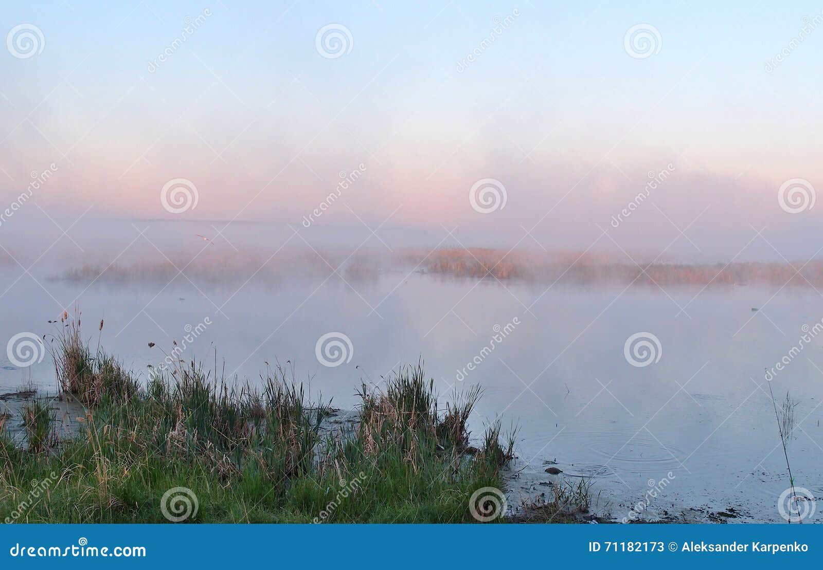 fog on the river yaman