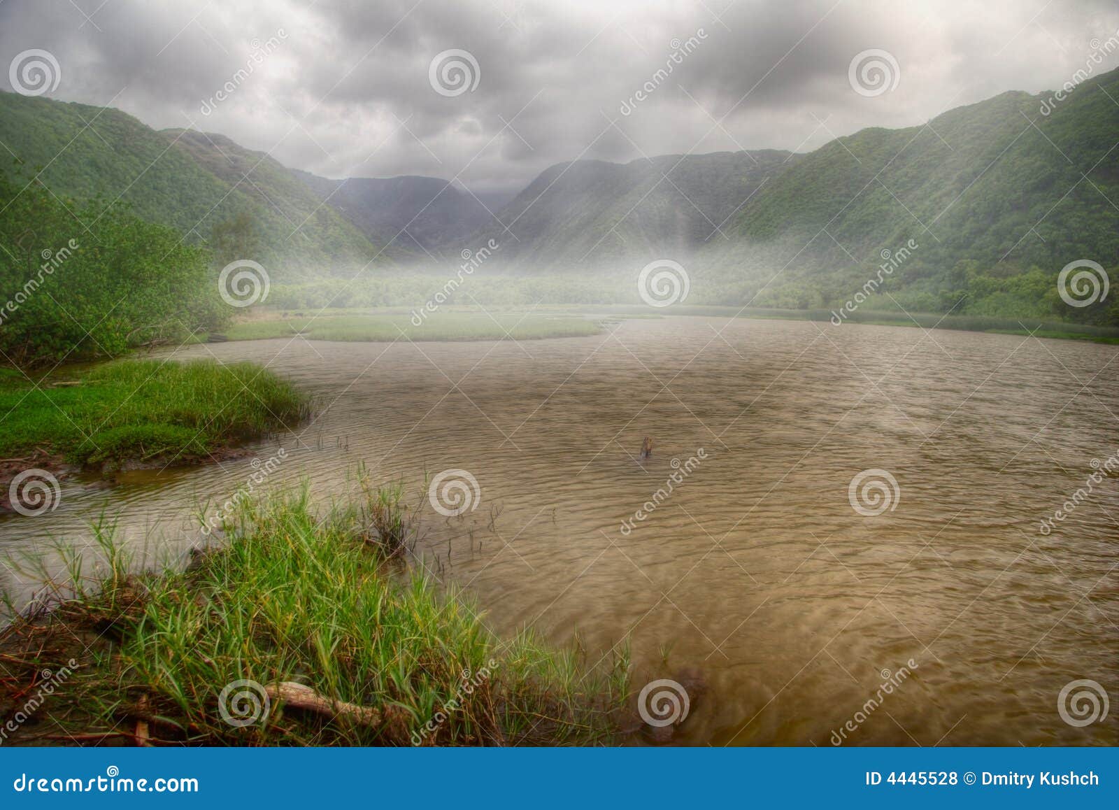 Fogg and Bad Weather of Hawaii Stock Photo Image of jungle, river