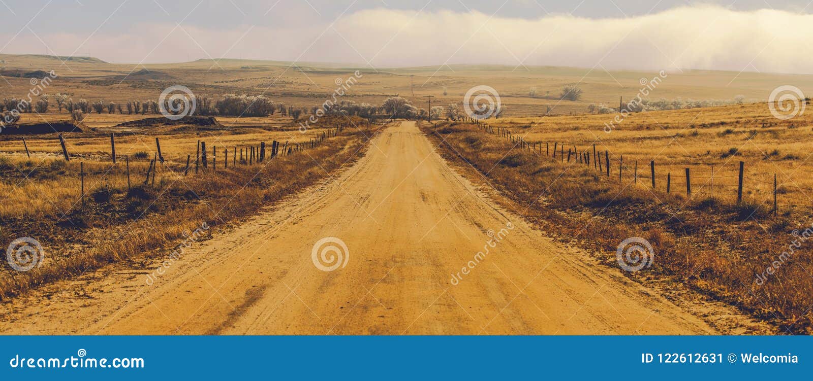 foggy countryside road