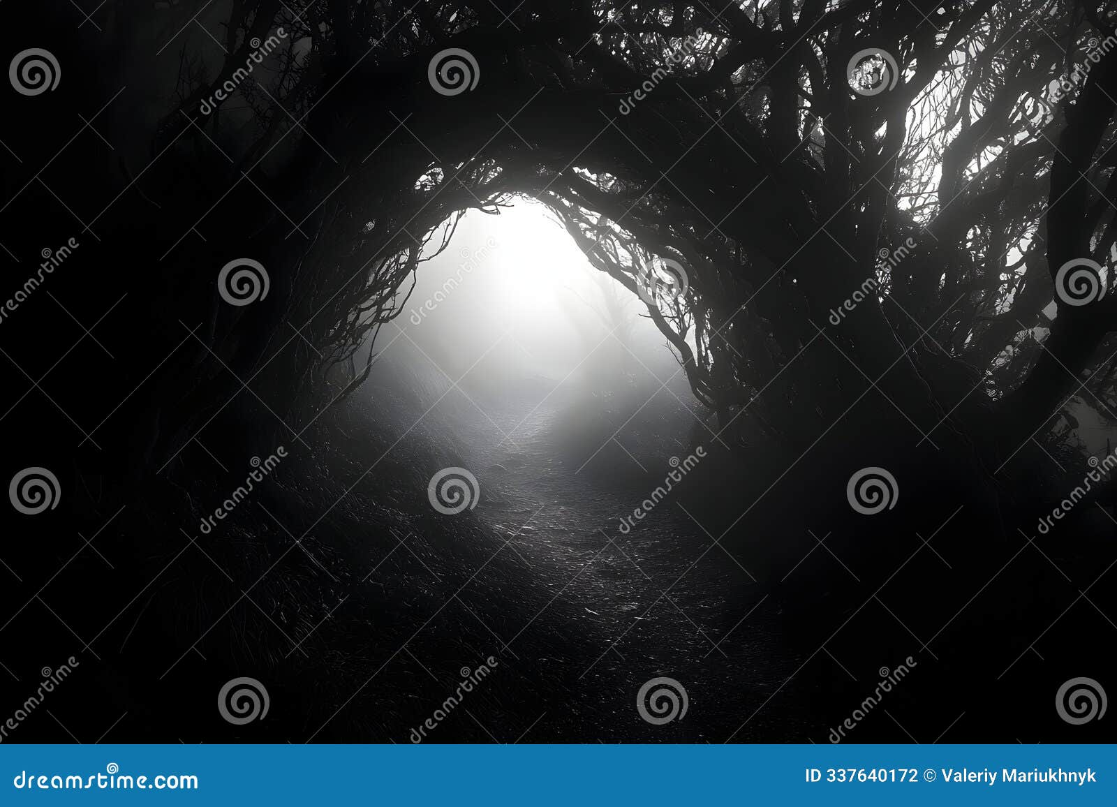 foggy forest path through gnarled trees, evoking a sense of mystery, adventure, and darkness. generative ai