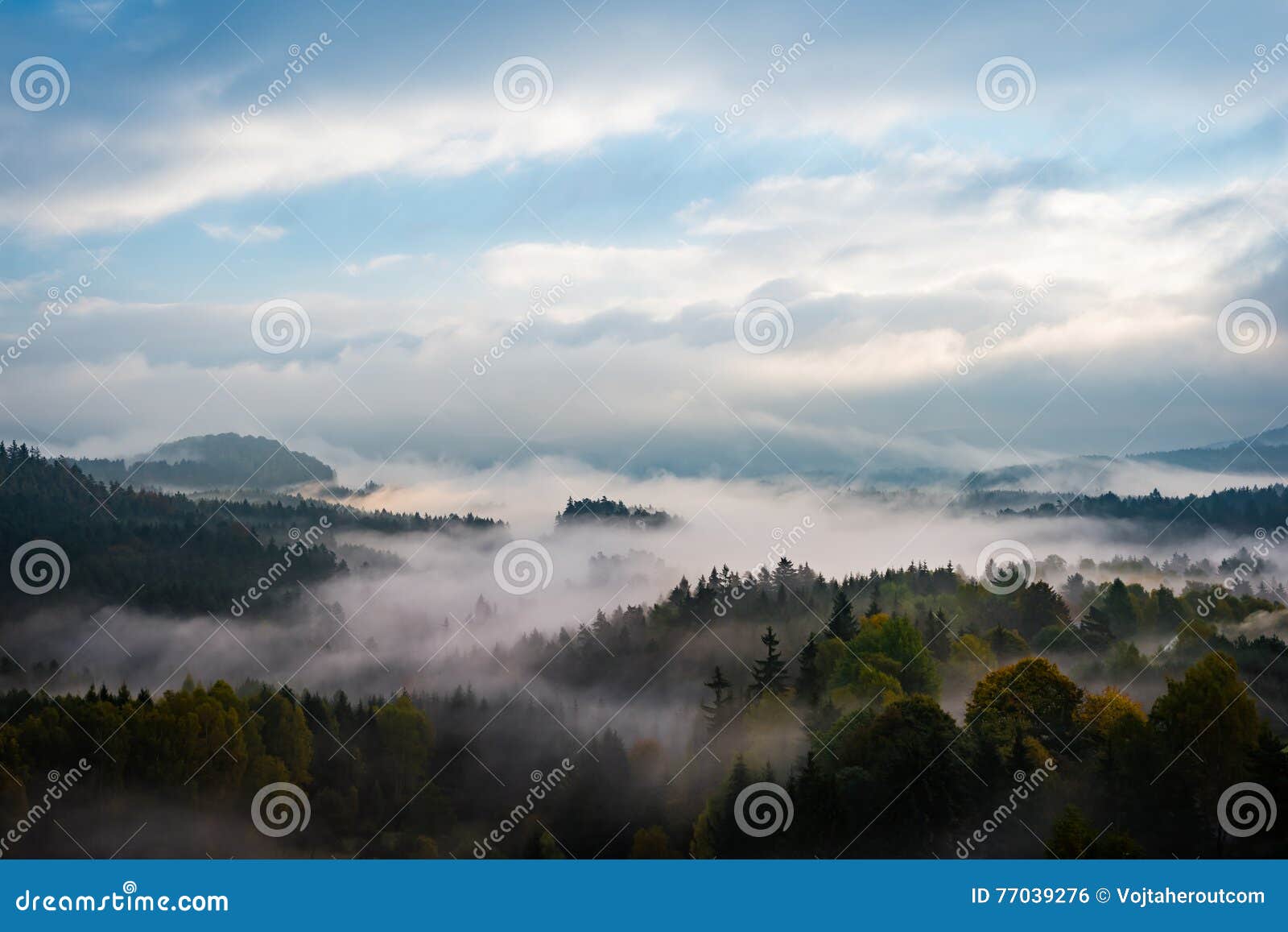 foggy forests of bohemian switzerland, czech republic