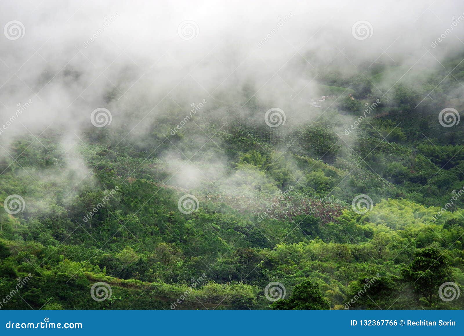 foggy landscape in buenavista, quindio