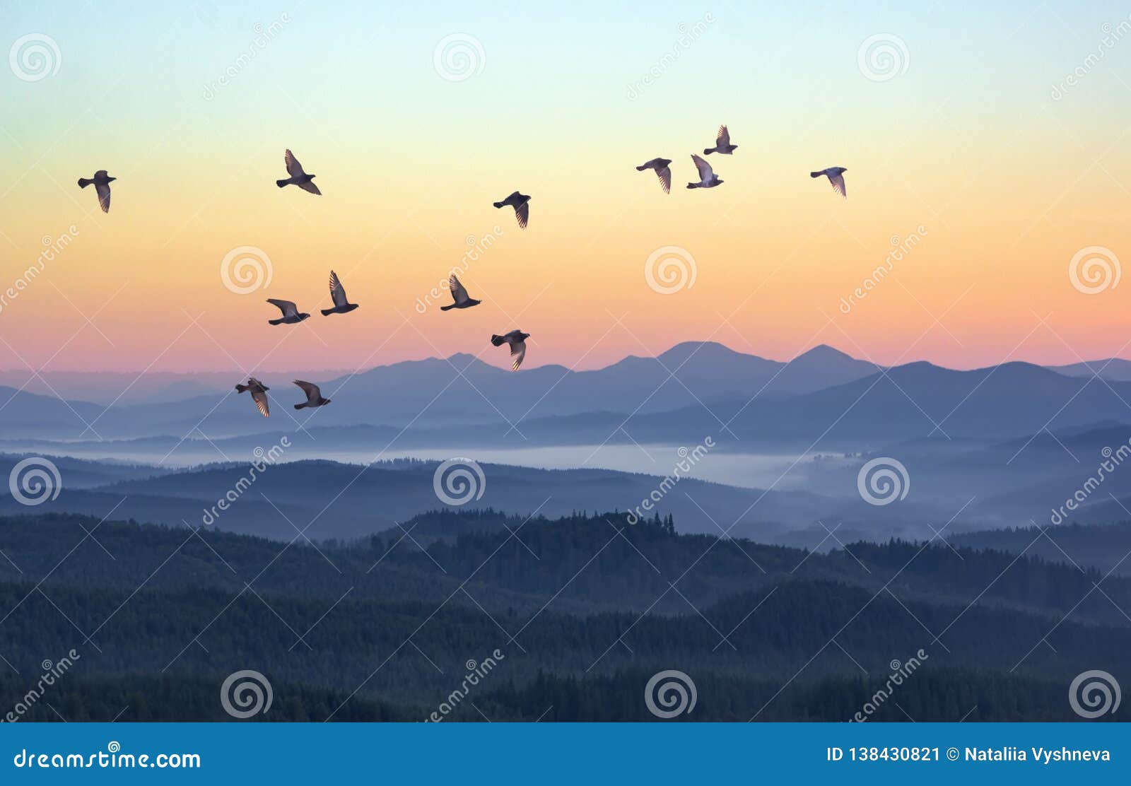 foggy morning in the mountains with flying birds over silhouettes of hills. serenity sunrise with soft sunlight and layers of haze